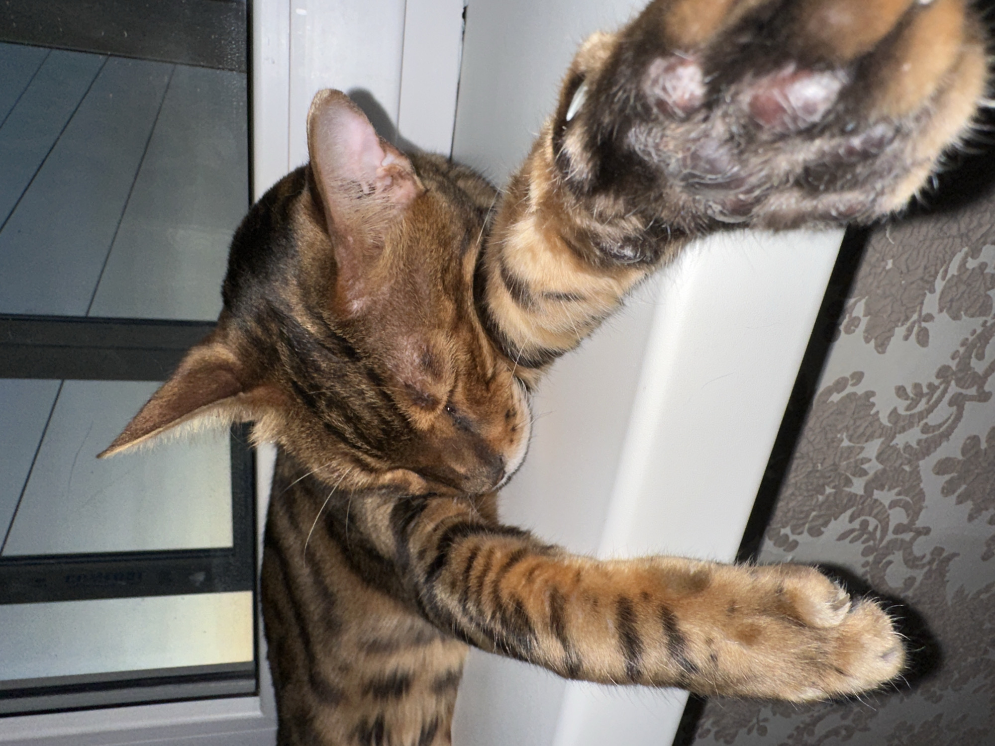 A close-up, eye-level shot shows a brown and black striped cat resting on a white ledge. The cat is lying on its side, with its head down and eyes closed, appearing to be asleep. One of its front paws is extended forward and hangs over the edge of the ledge, revealing the underside of its paw with visible paw pads. The background is a window with a view of the sky and some wires. The wall below the ledge has a patterned wallpaper. The image appears to be taken indoors, possibly in a residential setting. There is no indication of the cat's location in Energetik, Russia, in the image itself.