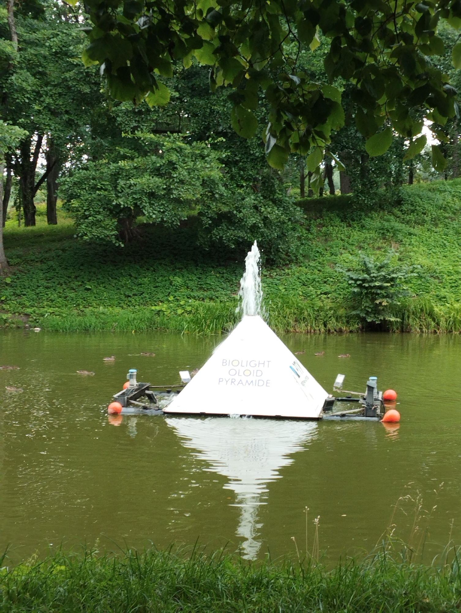 A pyramid-shaped floating structure with the words "BIOLIGHT" and "OLOID PYRAMIDE" printed on its side is situated in a body of water. A fountain sprays water from the apex of the pyramid. The structure appears to be an aeration device or a decorative fountain. Several ducks are visible swimming in the water around the pyramid. The body of water is surrounded by lush green trees and vegetation, indicating a park or natural setting. In the foreground, tall green grass lines the edge of the water. This scene is located in the city of Kingisepp, Russia.