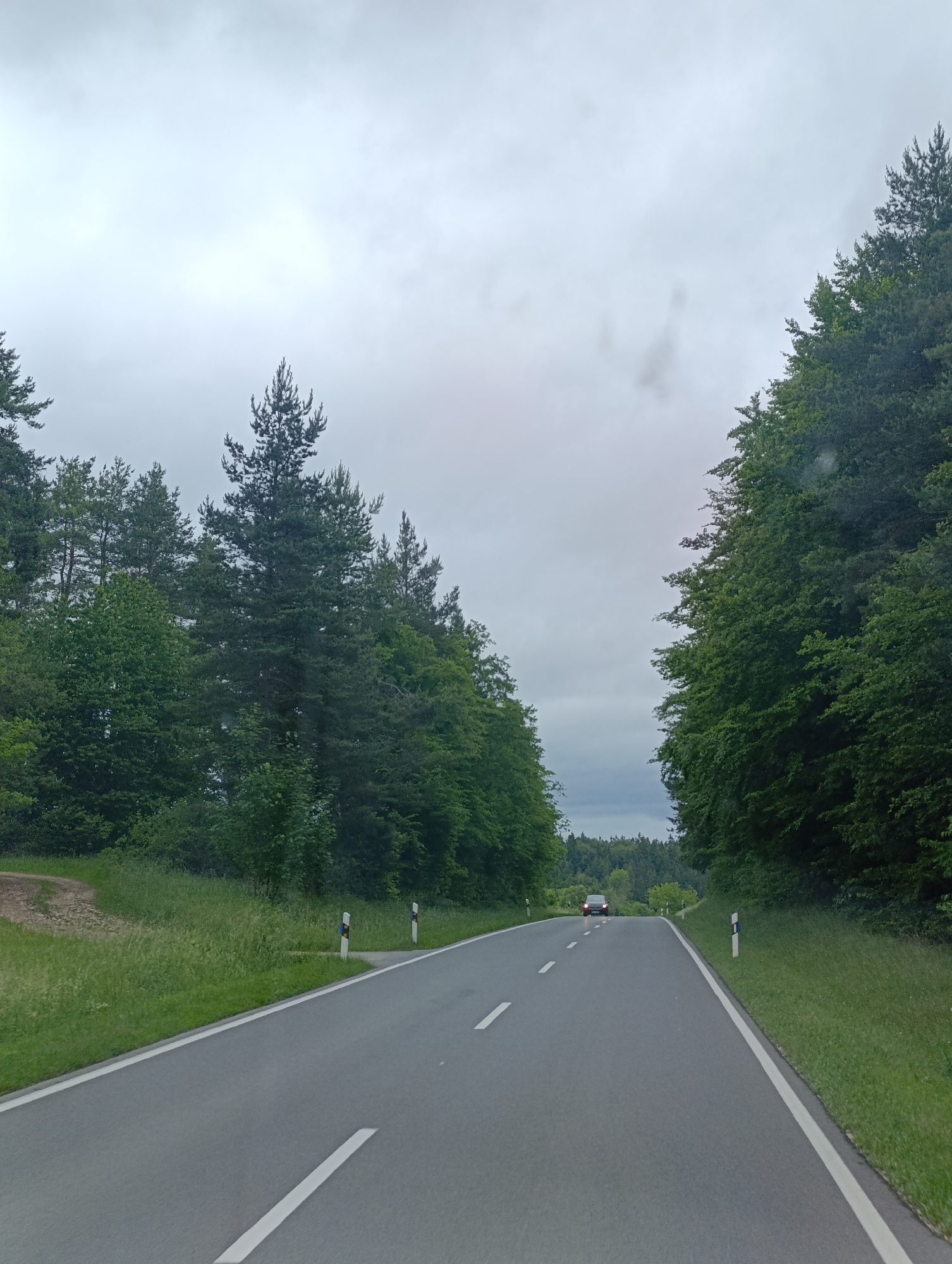 The image captures a view of a paved road in Gammertingen, Germany, bordered by dense green trees on both sides. The road curves slightly to the right as it recedes into the distance. The sky is overcast with a light gray color. There are road markers along the right side of the road, featuring black and white reflective surfaces. In the distance, a dark-colored car with illuminated red taillights is approaching from the opposite direction. The surrounding environment is lush with vegetation, suggesting a rural or suburban setting within or near Gammertingen.