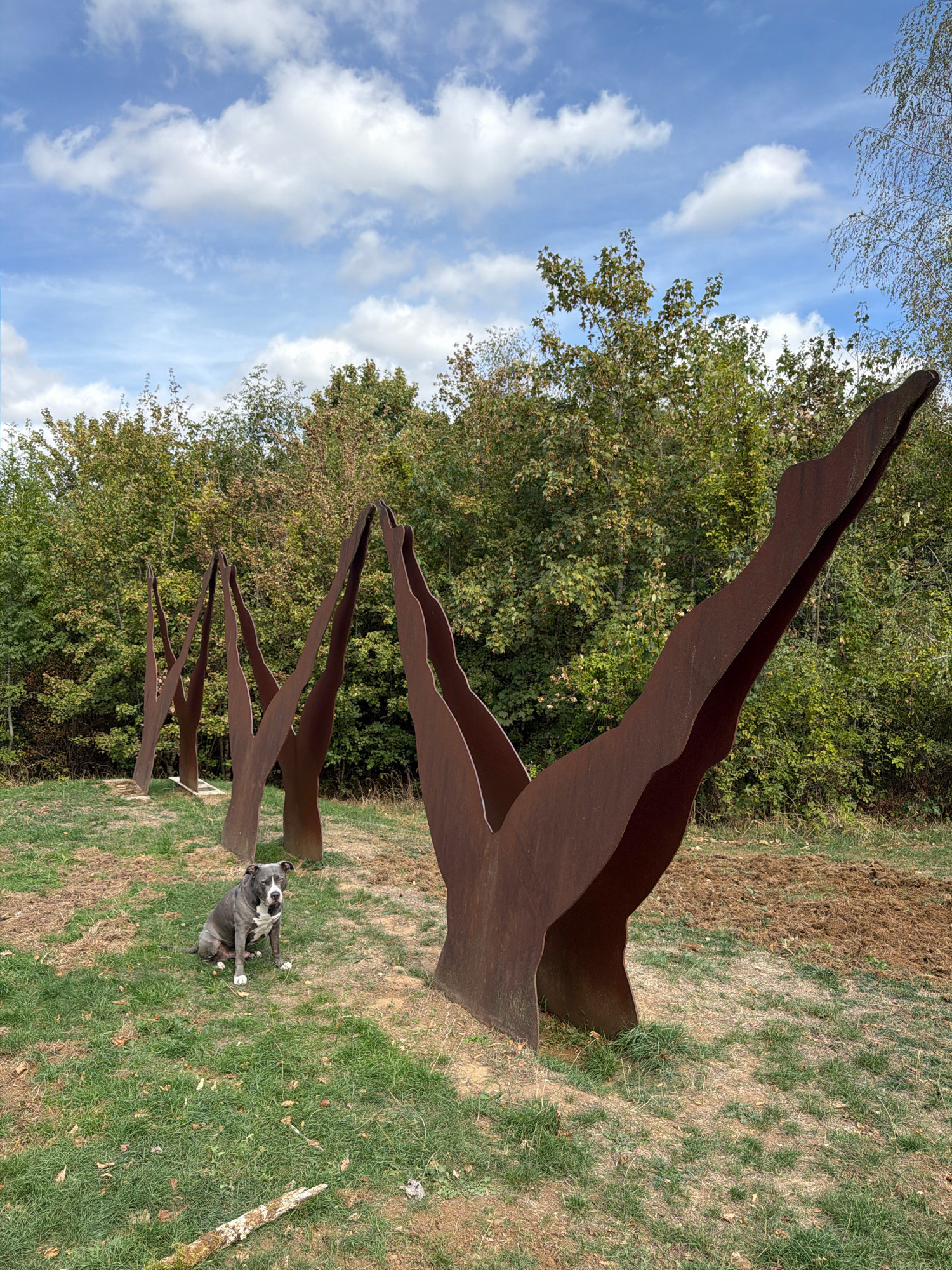 A medium shot captures an outdoor scene featuring a gray and white pit bull dog sitting on a grassy area, facing the camera. Behind the dog, a line of abstract metal sculptures, resembling stylized legs in a dynamic pose, are arranged in a row. The sculptures are made of rusted metal, giving them a weathered, earthy appearance. The background consists of a dense line of green trees under a partly cloudy sky. The ground is a mixture of dry grass, dirt, and some fallen leaves. The setting appears to be a park or an open area within a natural landscape, possibly near Esch-sur-Alzette, Luxembourg, given the context.