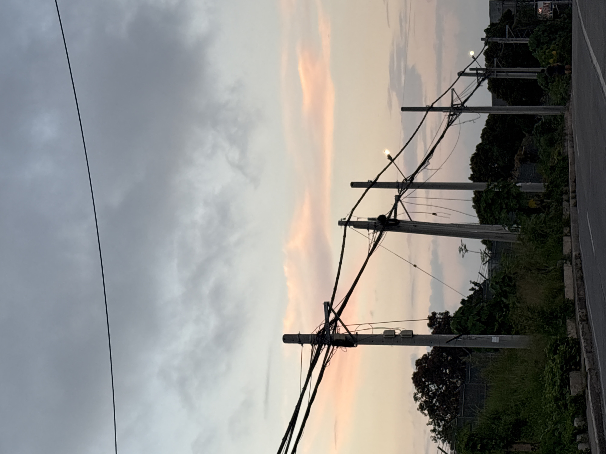 The image depicts a street scene in Davao City, Philippines, during what appears to be sunset or dusk. The sky is filled with clouds, displaying hues of gray and soft pink, indicating a transitional time of day. Several utility poles with a complex network of wires are prominent in the foreground, stretching across the frame. These poles are made of concrete and are equipped with various electrical components and what appear to be streetlights.
To the left and center of the image, dense foliage and trees form a green backdrop, with a fence topped with barbed wire visible behind some of the vegetation. A concrete curb and a paved road are in the lower portion of the image, suggesting a street or pathway.
In the far right of the image, a solitary person is walking away from the camera on the road. The person is wearing dark clothing and appears to be carrying something yellow. The overall atmosphere is one of a developing urban environment with a natural element, captured during the low light conditions of the evening.