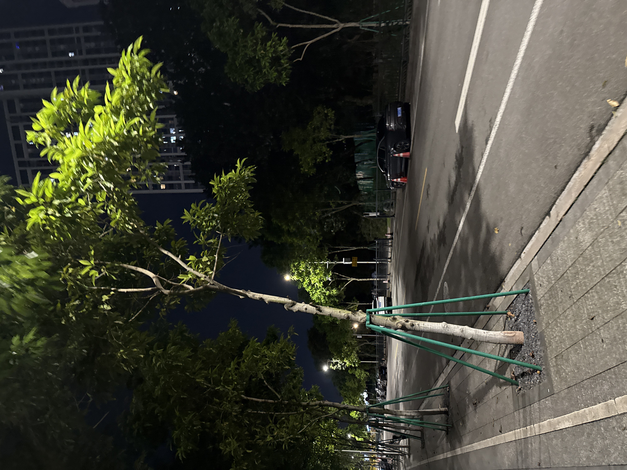 The image depicts a street scene at night in Haizhu District, China. A row of young trees with green support stakes lines the left side of the paved sidewalk. The trees are illuminated, with some leaves appearing bright green. Beyond the trees, a dark road with white lane markings stretches into the distance. Several parked cars are visible on the right side of the road, with traffic cones placed in front of one black sedan. Streetlights are present, casting pools of light on the road and sidewalk. In the background, a tall, modern building with illuminated windows rises against the dark night sky. The overall environment suggests an urban setting, possibly a residential or commercial area, at night.