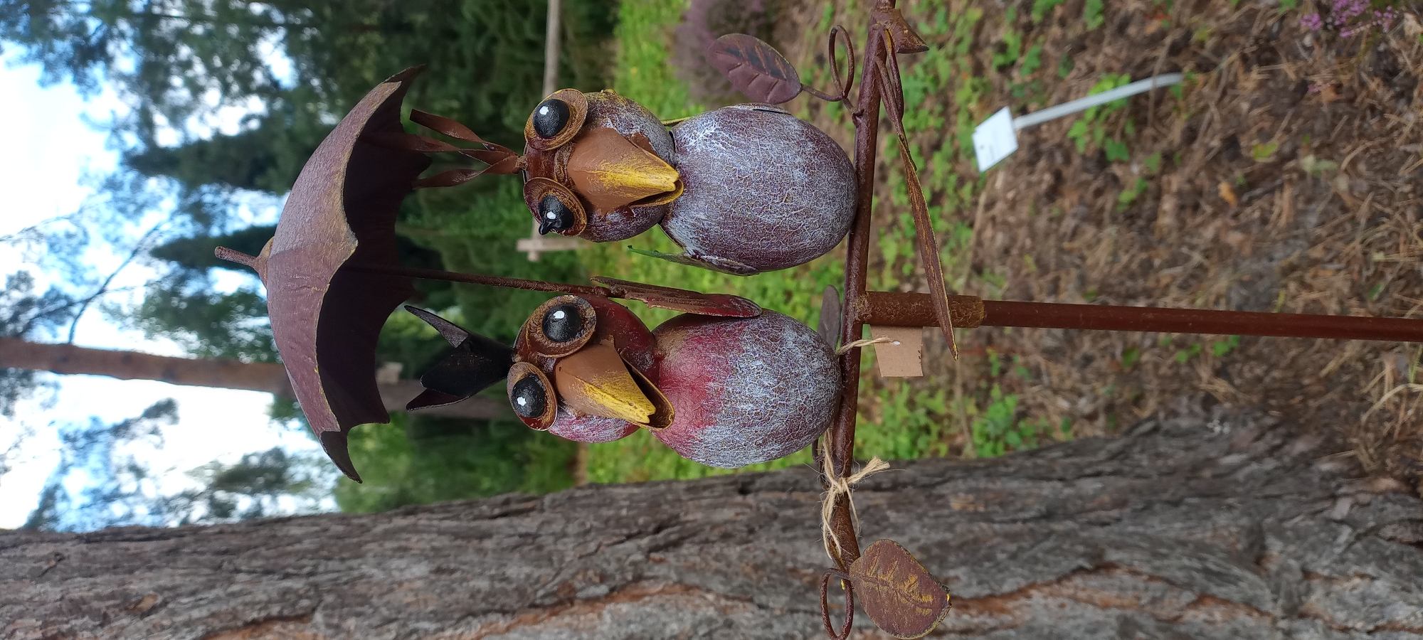 This image depicts a decorative metal sculpture of two birds sitting on a branch, holding an umbrella. The birds are made of dark red material with white speckling and have large, black eyes with white pupils. They have yellow beaks and small black crowns. The umbrella they are sharing is rusty brown and appears to be made of metal. The sculpture is positioned outdoors, in what appears to be a garden or park setting. In the background, there is a large tree trunk on the left, and further back, a blurred landscape of green foliage and some wooden fencing. There are also some small white signs planted in the ground in the background. The overall impression is a whimsical garden decoration. The image does not contain any information that would allow for specific identification of its location within Dortmund, Germany.