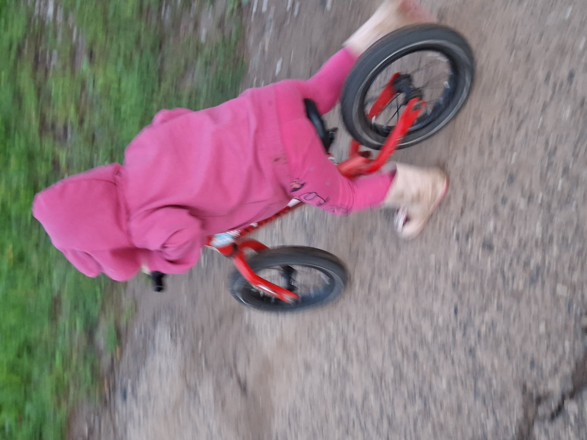 A child in a pink hooded sweatshirt and pink leggings rides a red balance bike on a dirt path. The child's feet are in light-colored boots. The background is blurred green grass. The image is a medium shot, taken from a slightly elevated angle. The motion blur suggests the child is moving at speed.
