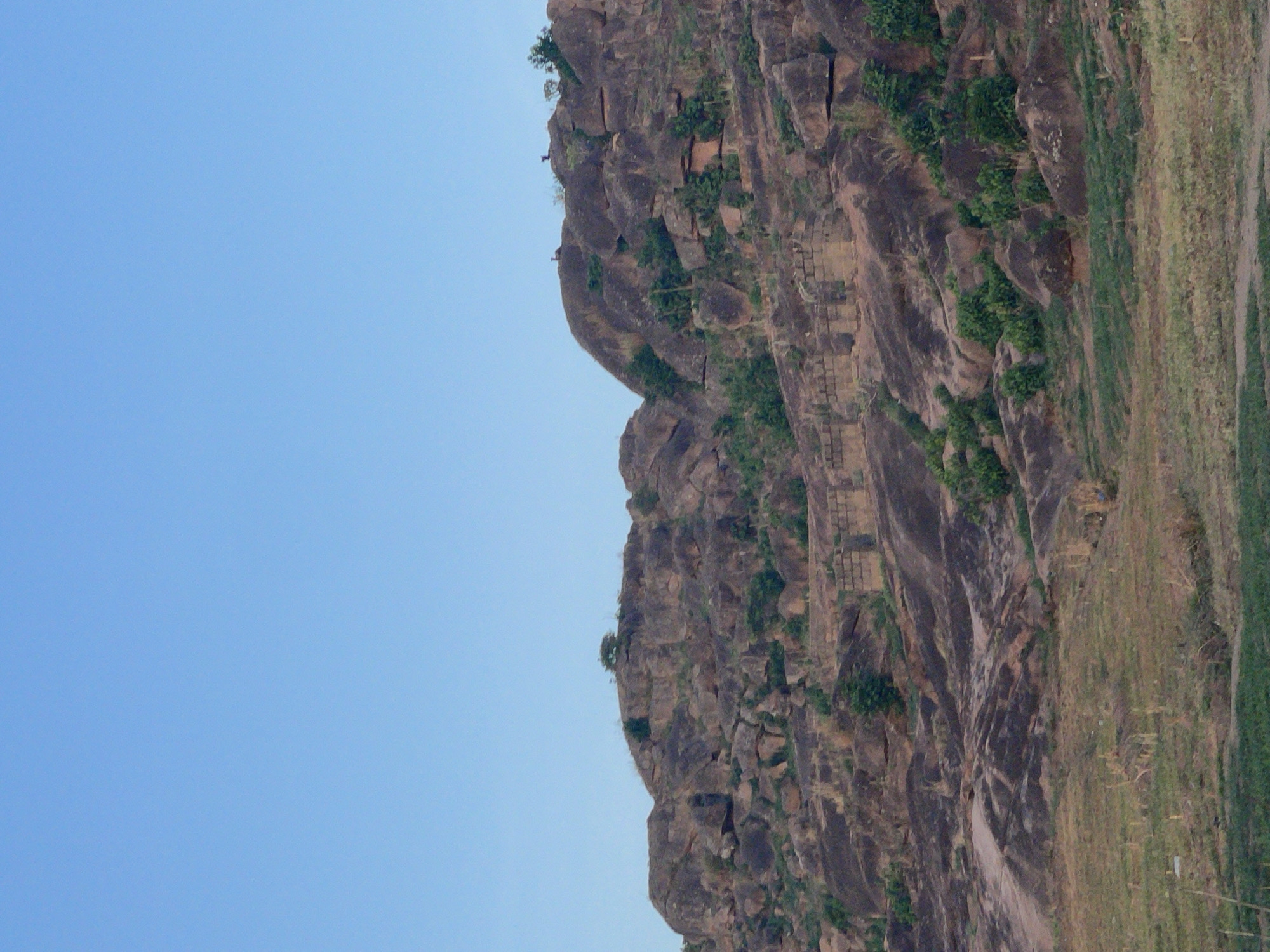 The image shows a large, rocky cliff face with vegetation growing on it. The cliff appears to be situated next to a field of dry grass. The sky is a clear blue. The image is rotated 90 degrees clockwise. There is no visible evidence to support the location being Barikin Gidar Kanat, Nigeria or to detect the presence of people or interactions.