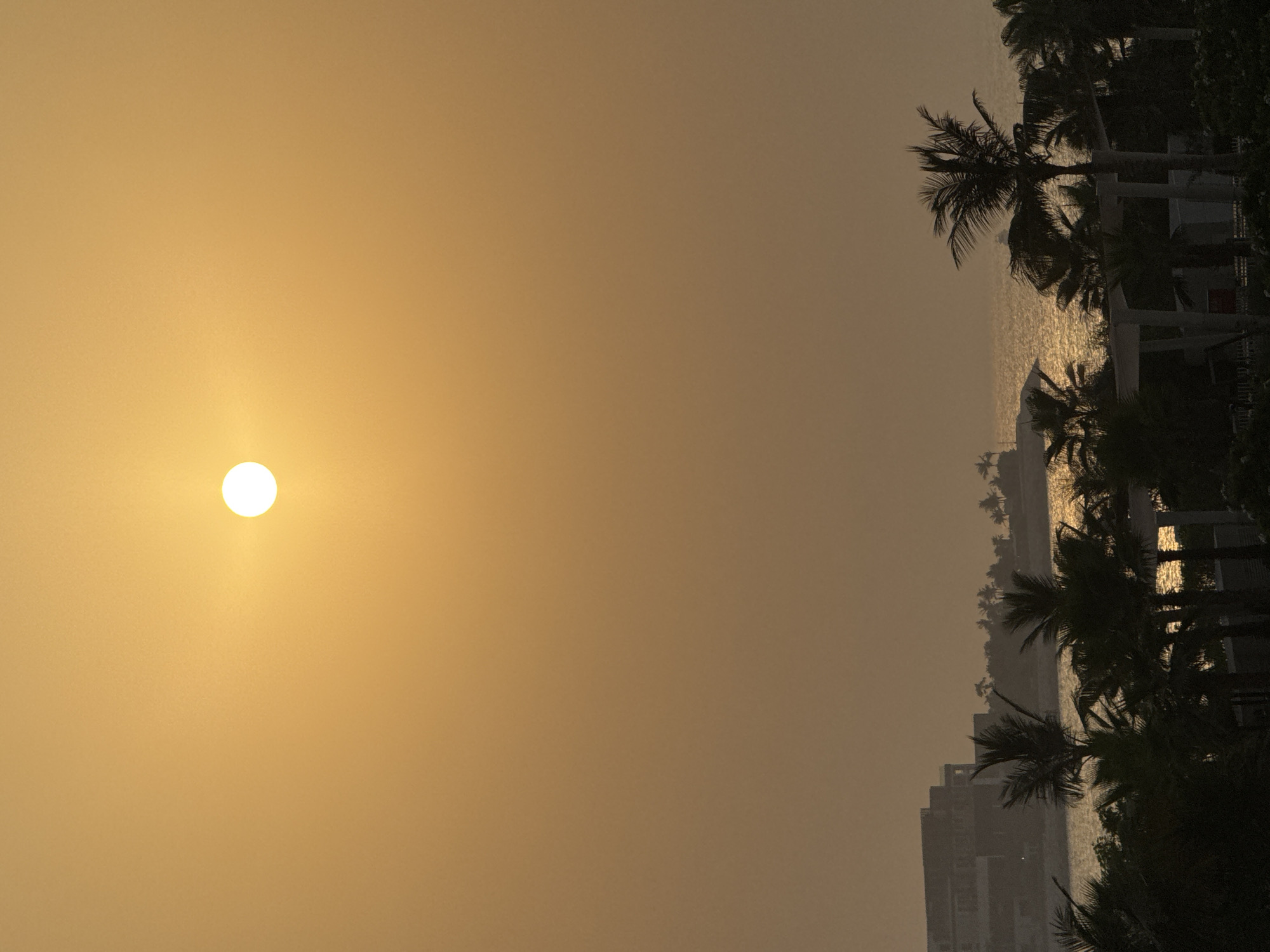 The image depicts a hazy sunset over a coastal area in Dubai, United Arab Emirates. A bright, diffused sun hangs high in the orange-hued sky. In the middle ground, a body of water, likely the Arabian Gulf, reflects the sunlight with a shimmering effect. Silhouetted palm trees in the foreground and middle ground frame the scene, with a few buildings visible on the left coastline, appearing as dark, geometric shapes against the muted sky. The overall atmosphere is serene and tranquil, characterized by the warm tones of the sunset and the soft focus due to the haze.