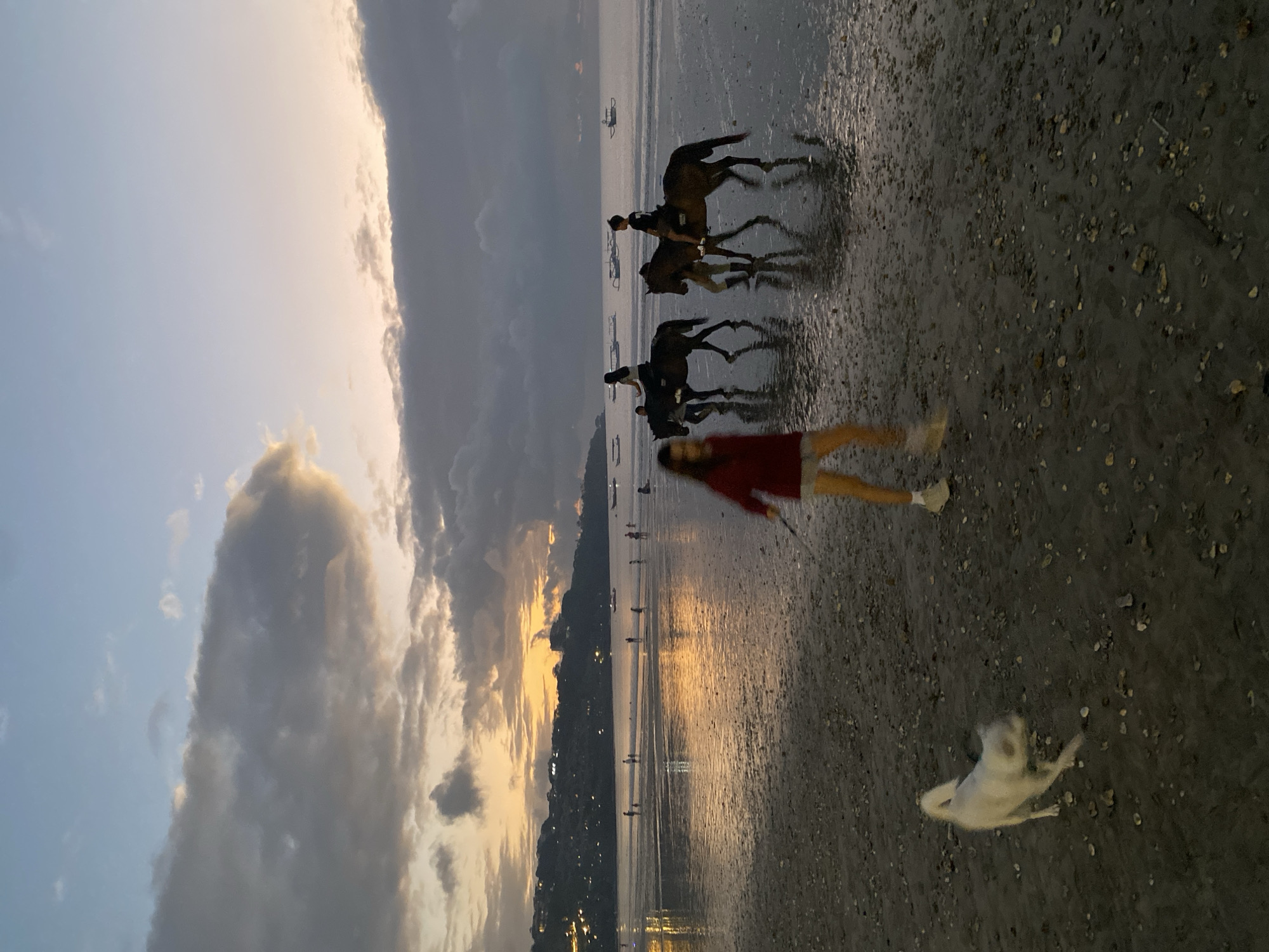 This photograph captures a scene at a beach in Kuta Selatan, Indonesia, during what appears to be sunset or dusk. The sky is dramatic with a mix of bright, illuminated clouds near the horizon and darker, stormier clouds. The low angle of the sun casts a warm, golden light that reflects on the wet sand and the shallow water.
The main subjects in the image are three people riding horses along the shoreline. Their dark silhouettes are stark against the brighter sky and water. In the foreground, a person in a red top and white shorts is walking or running, their body blurred due to motion. Further in the foreground, a white dog is lying on its back, also blurred, possibly playing or resting on the sand.
The beach appears to be a mix of sand and small pebbles. The water's edge is visible, with small waves gently lapping the shore. In the distance, along the coastline, a faint outline of a town or settlement is visible, with lights starting to twinkle as darkness descends. Several boats are anchored or moored in the water.
The overall mood of the image is serene and picturesque, with the natural beauty of the sunset creating a captivating backdrop for the activity on the beach. The motion blur of the person and the dog adds a dynamic element to the otherwise tranquil scene.
