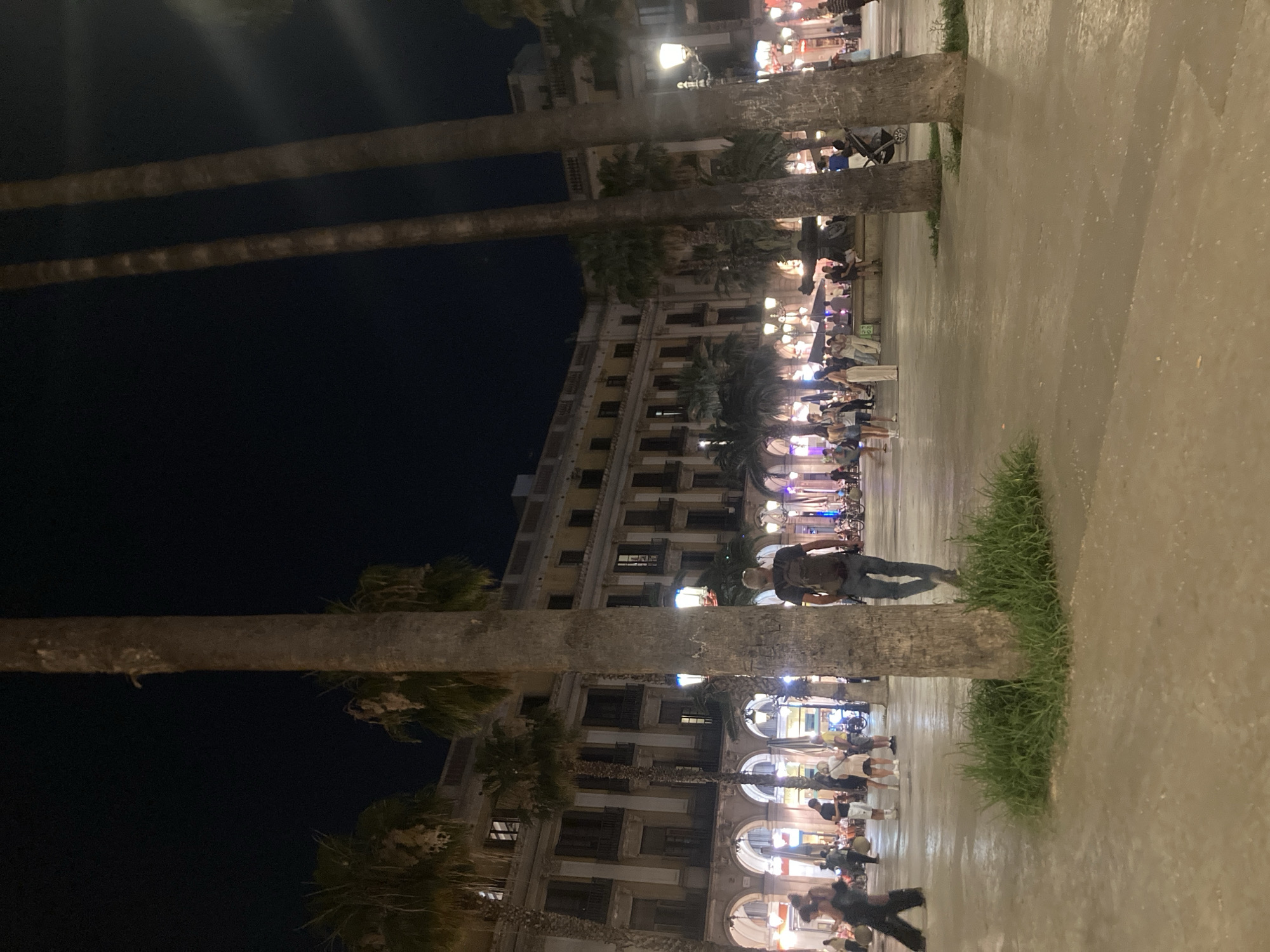 The image captures a lively urban promenade at night, characterized by its warm artificial lighting and numerous pedestrians. The scene is set along a broad, paved walkway lined with tall palm trees, separating it from a row of multi-story buildings on the left.
Many people are visible throughout the promenade, engaging in various activities such as walking, strolling, and congregating in small groups. The atmosphere appears relaxed and social, suggesting an evening leisure activity. The buildings feature traditional architecture with multiple windows and illuminated ground-level arches, likely housing shops or restaurants. Streetlights cast pools of light, enhancing the nighttime ambiance.
Notable details include a person with a backpack walking in the foreground, and a baby stroller partially visible near one of the palm trees. Patches of green grass grow around the bases of the palm trees on the paved ground. The dark sky confirms it is nighttime, and the clear visibility suggests good weather. A small green sign with the number "12" in white text is discernible on the ground. The setting, with its palm trees and architecture, aligns with the provided context of Barcelona, Spain.