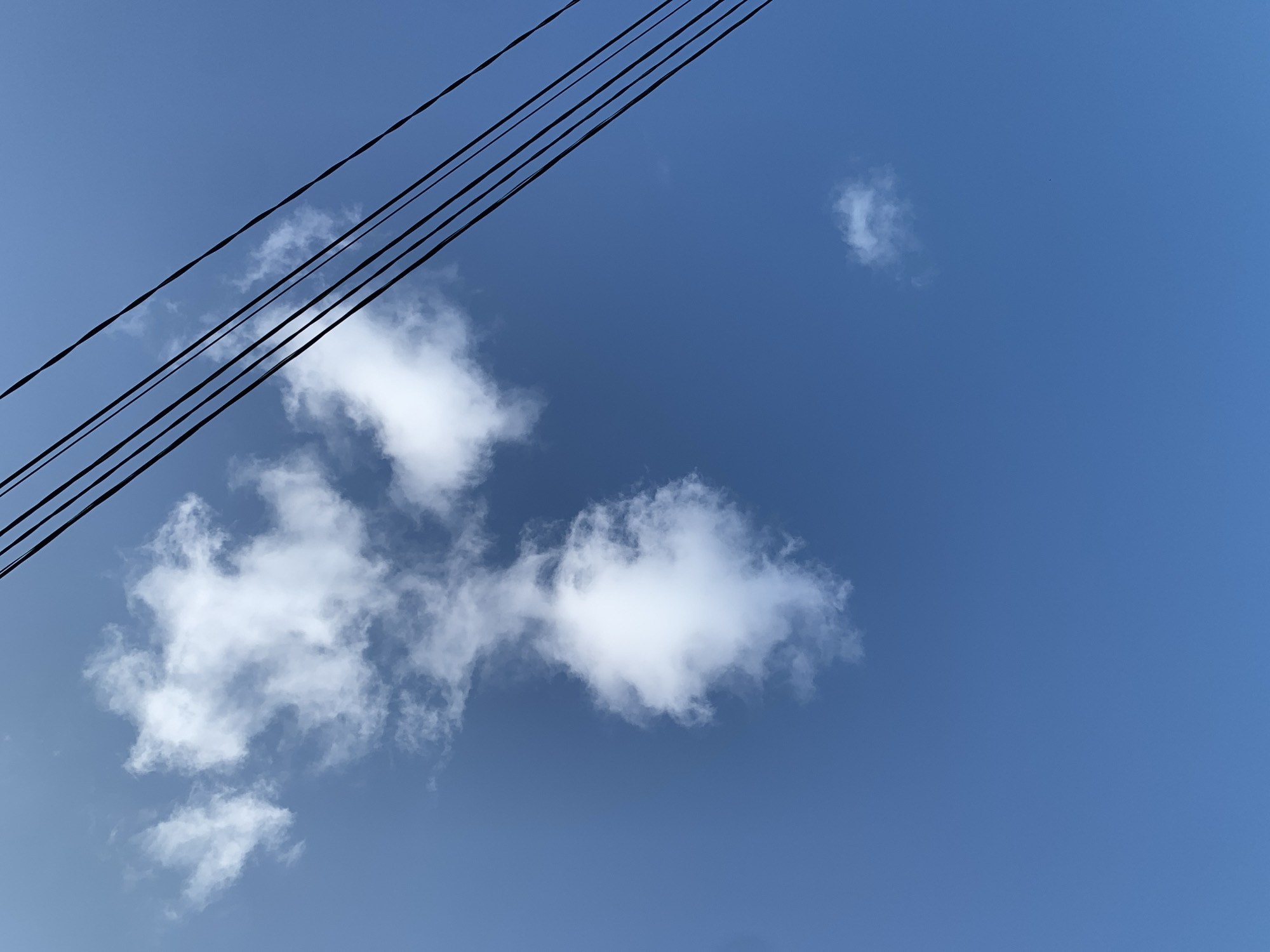 The image shows a clear blue sky with several white clouds, and power lines running diagonally from the top right to the bottom left of the frame. The clouds are scattered and appear to be cumulus clouds. The power lines are black and are arranged in parallel. The scene is likely outdoors, possibly in an urban or suburban setting given the presence of power lines. There are no people or animals visible in the image. The lighting suggests it is daytime. The location in Prokopyevsk, Russia is not evident from the image itself.