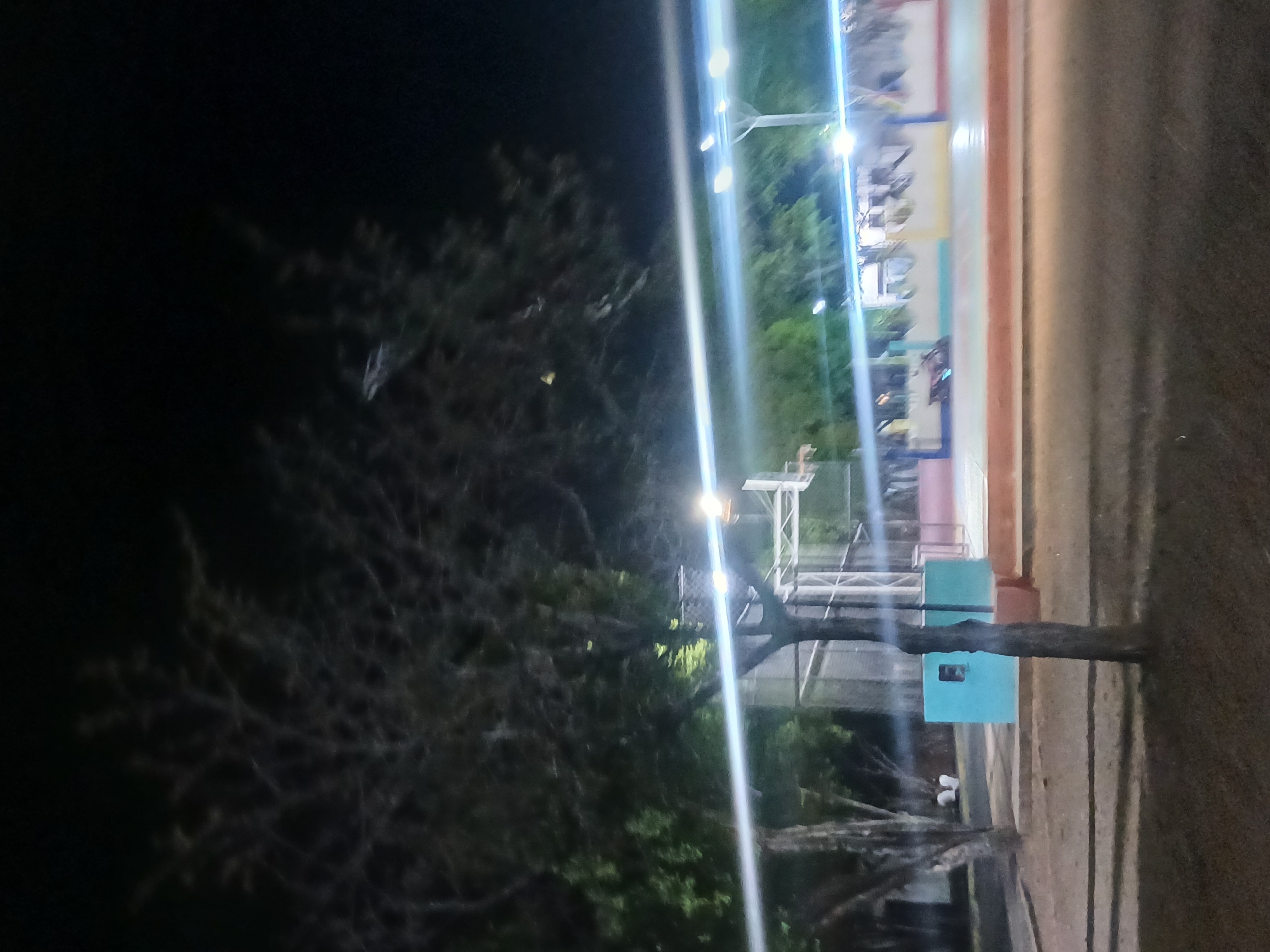 The image depicts a night scene of an outdoor basketball court in Santa Ana, Venezuela. The court features a light blue wall with a rectangular opening and a faded reddish-brown base. There are also colorful decorative elements visible along the edge of the court. Several trees, with their bare branches silhouetted against the dark sky, are present. Streetlights illuminate the area, casting bright beams across the scene. In the background, there are structures that appear to be part of a building complex or bleachers. The ground in the foreground is covered with grass and what appears to be asphalt. A single, thin, dark-colored tree trunk is prominently positioned in the mid-ground. The overall ambiance suggests a public recreational space at night.
