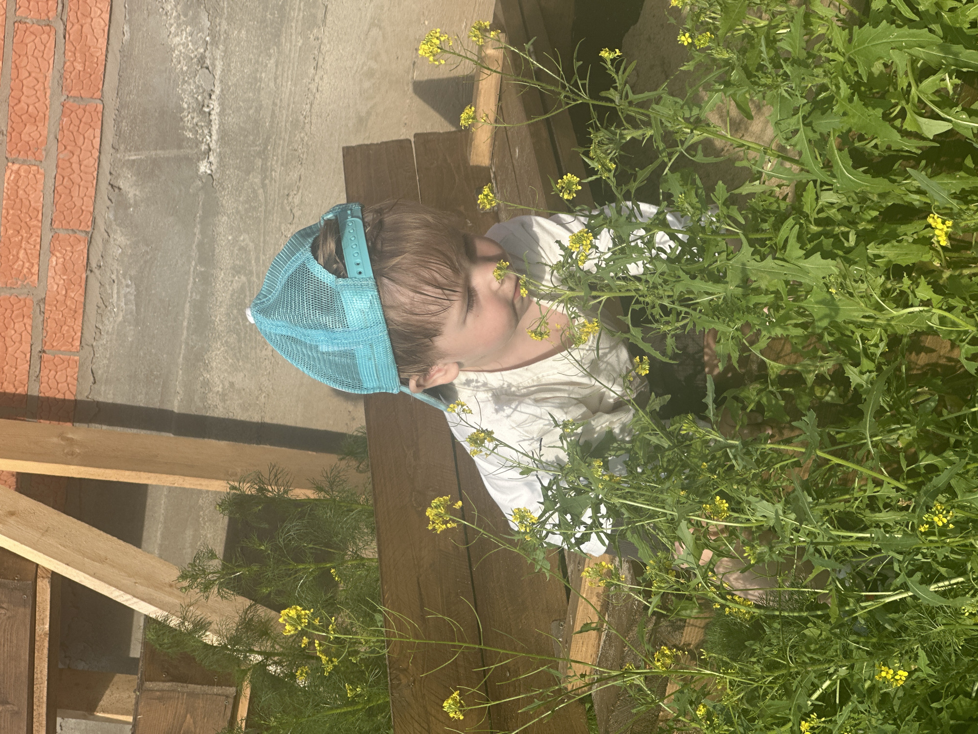 A young child wearing a turquoise trucker hat and a white t-shirt is crouched down, partially obscured by tall green plants with small yellow flowers. The child is looking intently at the plants. In the background, there is a wooden bench and a textured brick wall. The scene appears to be outdoors, possibly in a garden or yard, with the sunlight casting shadows. There are wooden beams and construction materials visible in the upper left portion of the image.