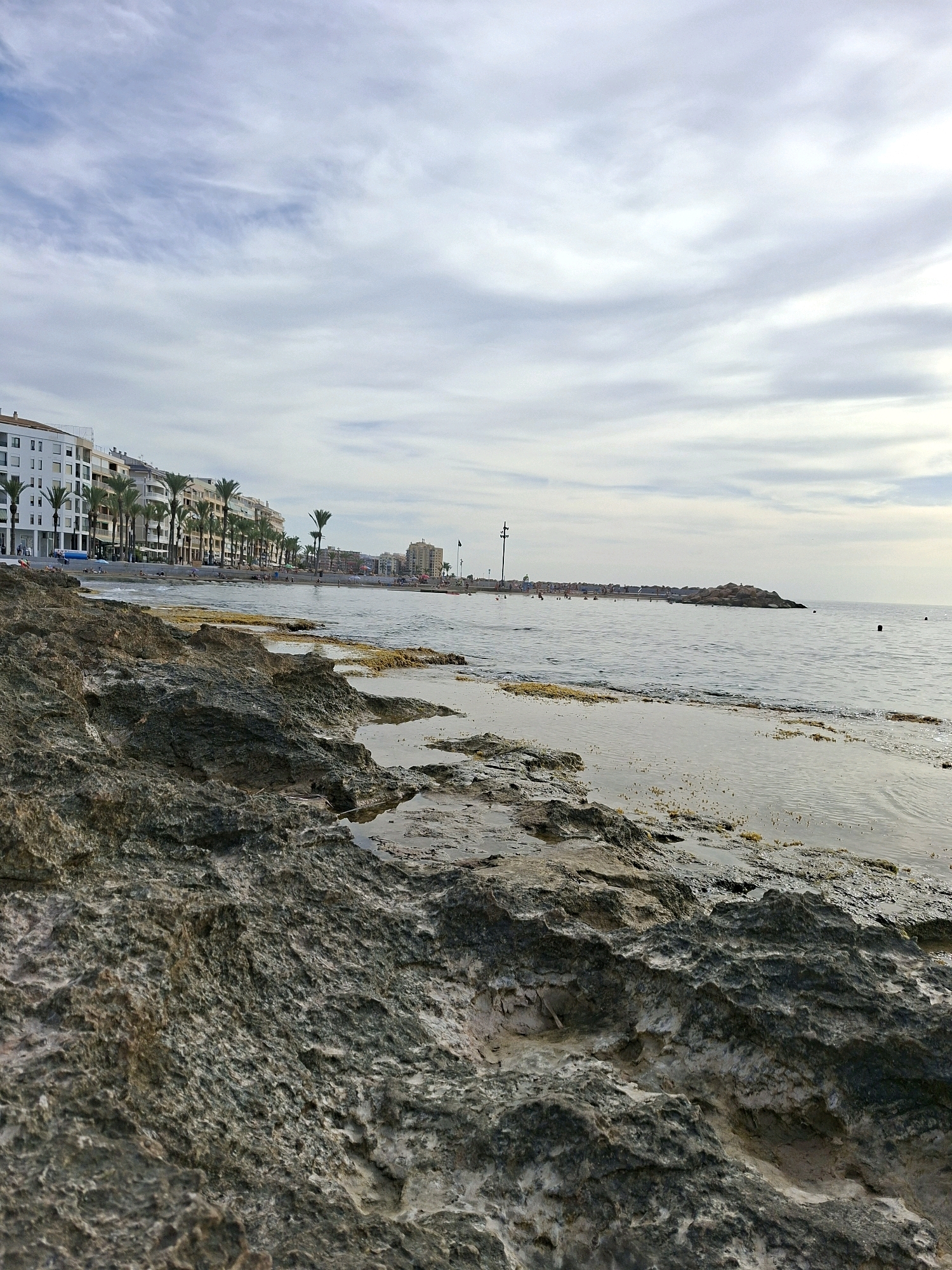 The image shows a coastal scene in Torrevieja, Spain. In the foreground, rough, textured rocks are visible, some with shallow pools of water. The midground features the calm sea, with a few scattered pieces of seaweed near the shore. In the background, a long stretch of sandy beach is lined with palm trees and multi-story buildings. A breakwater extends into the sea. Several people can be seen on the beach and in the water. The sky is overcast with wispy clouds. The overall scene depicts a typical Mediterranean seaside promenade.