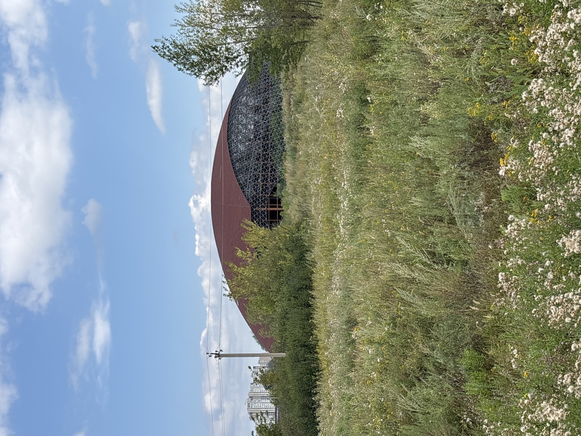 The image shows an exterior view of a large, domed building with a reddish-brown, curved roof and a geodesic dome-like structure visible beneath the roofline. The building is situated in a grassy, overgrown area with wildflowers. In the background, several tall, multi-story buildings are visible, suggesting an urban or suburban environment. A utility pole with power lines stands to the left of the domed structure. The sky is blue with scattered white clouds. The scene appears to be a construction site or a recently completed building in an undeveloped or naturalized area within the city of Orenburg, Russia. There are no people visible in the image.