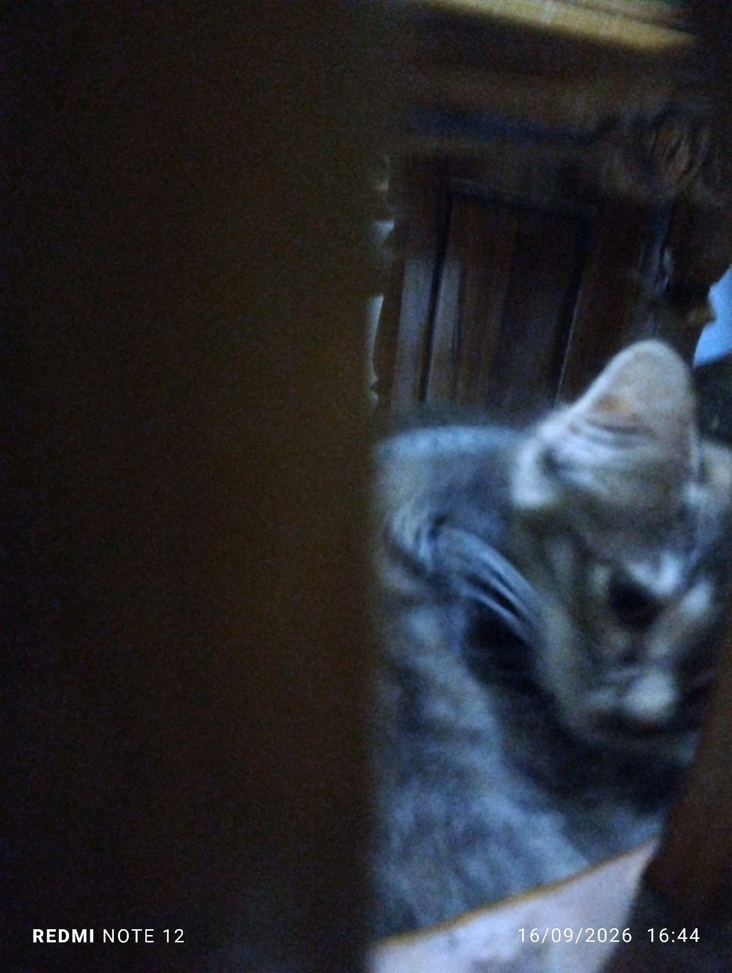 The image shows a close-up of a tabby cat with blurry features, partially obscured by a dark foreground element. The cat appears to be lying down, with its head and ears visible. The background consists of what seems to be wooden furniture. In the bottom left corner, the text "REDMI NOTE 12" is visible, and in the bottom right corner, a timestamp reads "16/09/2026 16:44". The image quality is low, with significant blur and grain. No specific location in Bekasi, Indonesia, can be identified from the visual information provided.