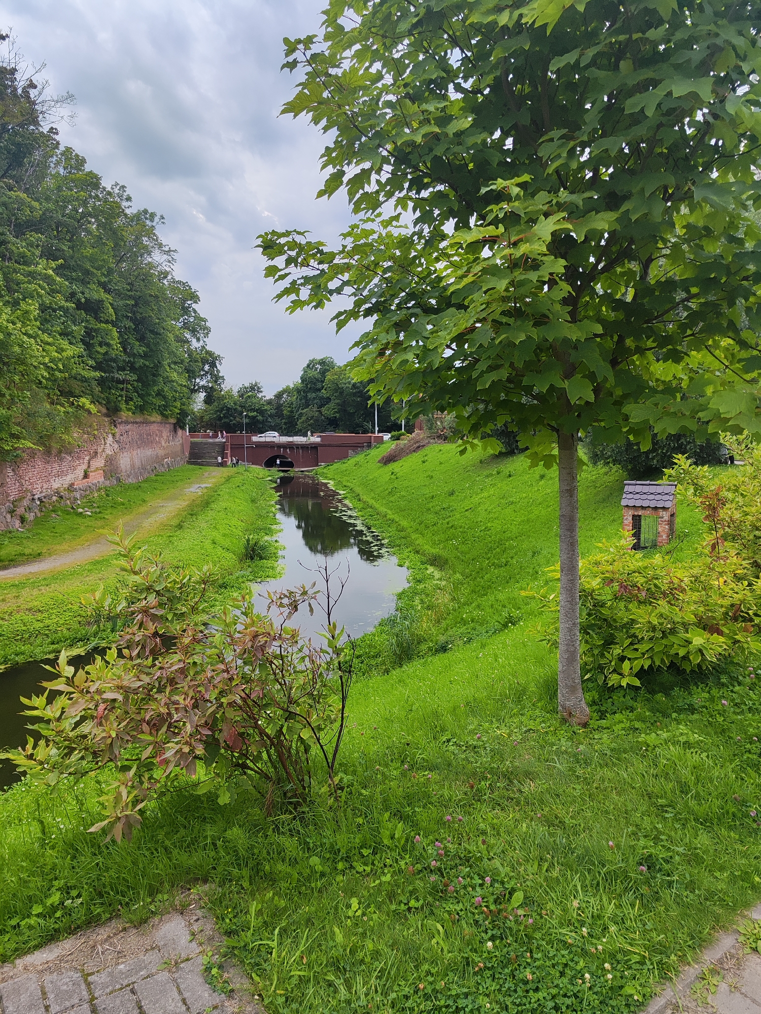 The image depicts a canal with a red brick bridge crossing it in Kaliningrad, Russia. The canal is lined with green grass and trees, with a stone wall on the left side of the frame. The sky is overcast. A tree stands in the foreground on the right, and a small, brick-like structure resembling a dog house is situated on the grassy slope behind it. Several people are visible on and around the bridge, and a few cars are on the road that crosses the bridge. The canal water has lily pads floating on its surface.