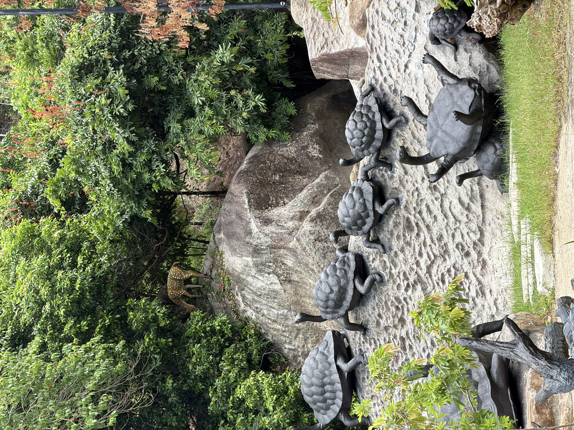 This image depicts a scene with several turtle statues and a statue of a deer, set against a backdrop of lush green trees and large rocks. The turtle statues are arranged on a textured, light-colored rock surface. In the upper left portion of the image, a statue of a fawn with spots stands on a rocky incline, partially obscured by foliage. The environment suggests an outdoor garden or park setting. The turtle statues are of various sizes and poses, with some appearing to be interacting with each other. The scene is captured in daylight, with natural lighting illuminating the subjects and their surroundings. The overall impression is a whimsical and decorative arrangement of animal sculptures within a naturalistic landscape. Without additional information, the specific location in Nha Trang, Vietnam cannot be determined.