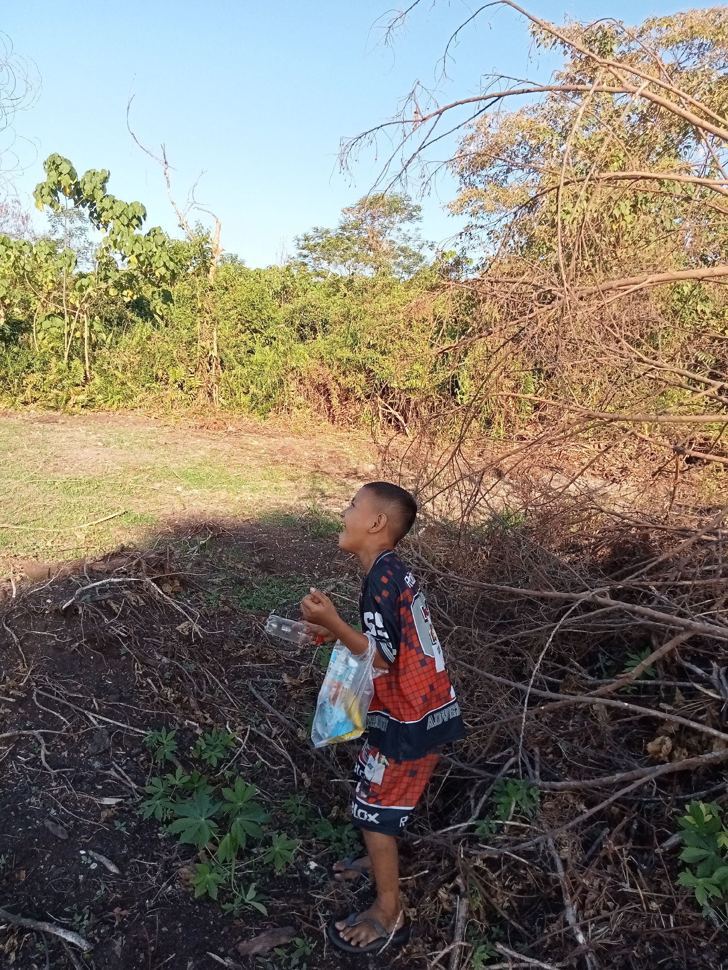 A young boy with dark hair and a black, red, and white patterned shirt stands outdoors. He is holding a clear plastic bottle in his right hand and a clear plastic bag filled with items in his left. The boy is looking upwards and to his right with his mouth open. He is wearing dark shorts with a red and white pattern and dark sandals on his feet. The boy is standing on dark soil covered with dry leaves and small green plants. Behind him, a pile of dry branches and brush is visible. In the background, there is a dense green area of trees and vegetation, with a clear blue sky above. The lighting suggests it is daytime with sunlight casting shadows. The scene appears to be in a rural or undeveloped area, possibly on the outskirts of Kualu, Indonesia, characterized by natural vegetation and a lack of constructed elements.