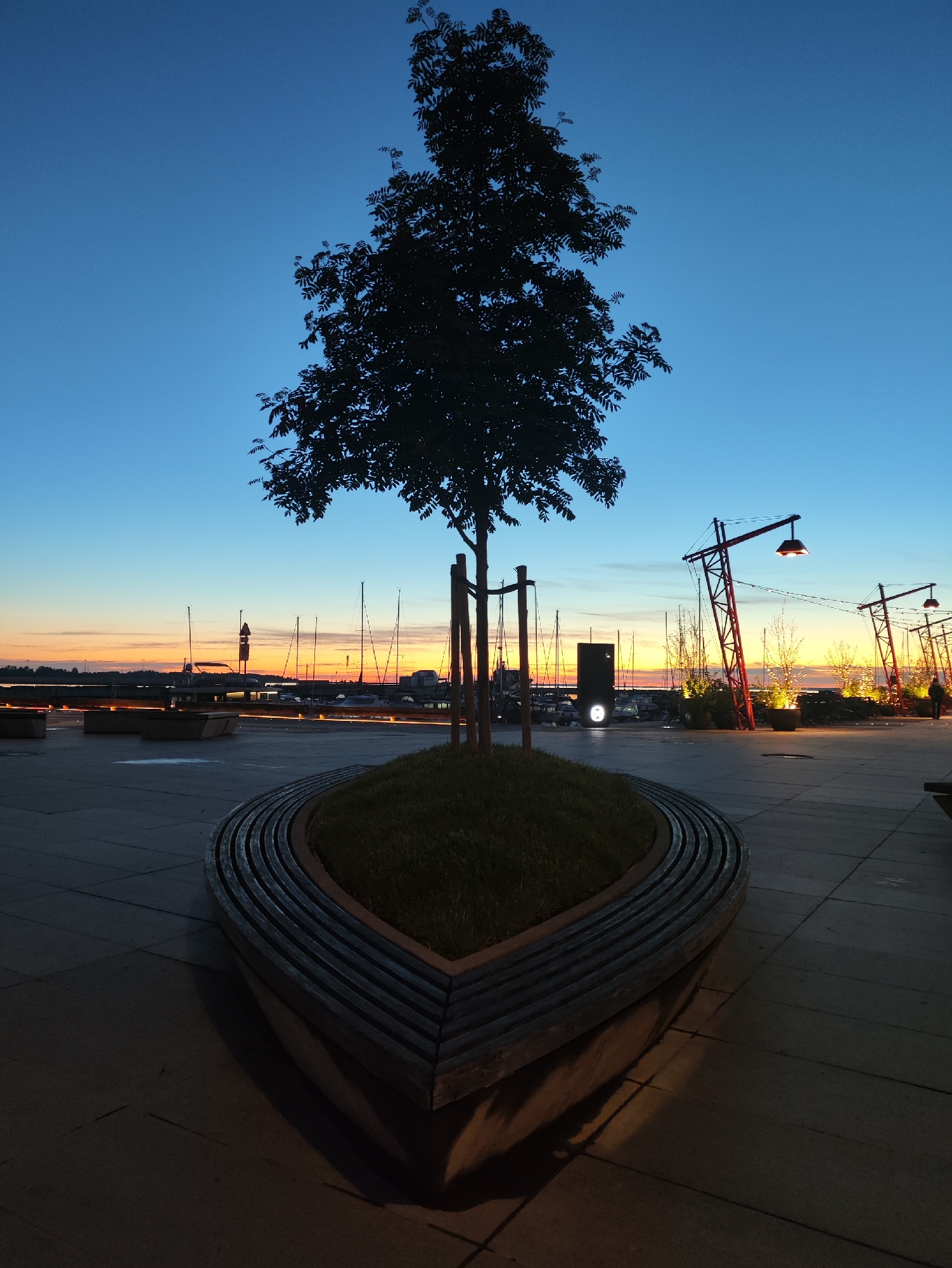 A lone tree stands silhouetted against a twilight sky above a curved wooden bench and a grassy island. The scene is set in the Port of Tallinn, Estonia, with sailboats docked in the harbor visible in the background. The sky transitions from deep blue overhead to a warm orange and yellow hue near the horizon, indicating the sun has recently set. Lights from the harbor and decorative lampposts illuminate the promenade, casting long shadows on the paved ground. The overall atmosphere is serene and twilight.