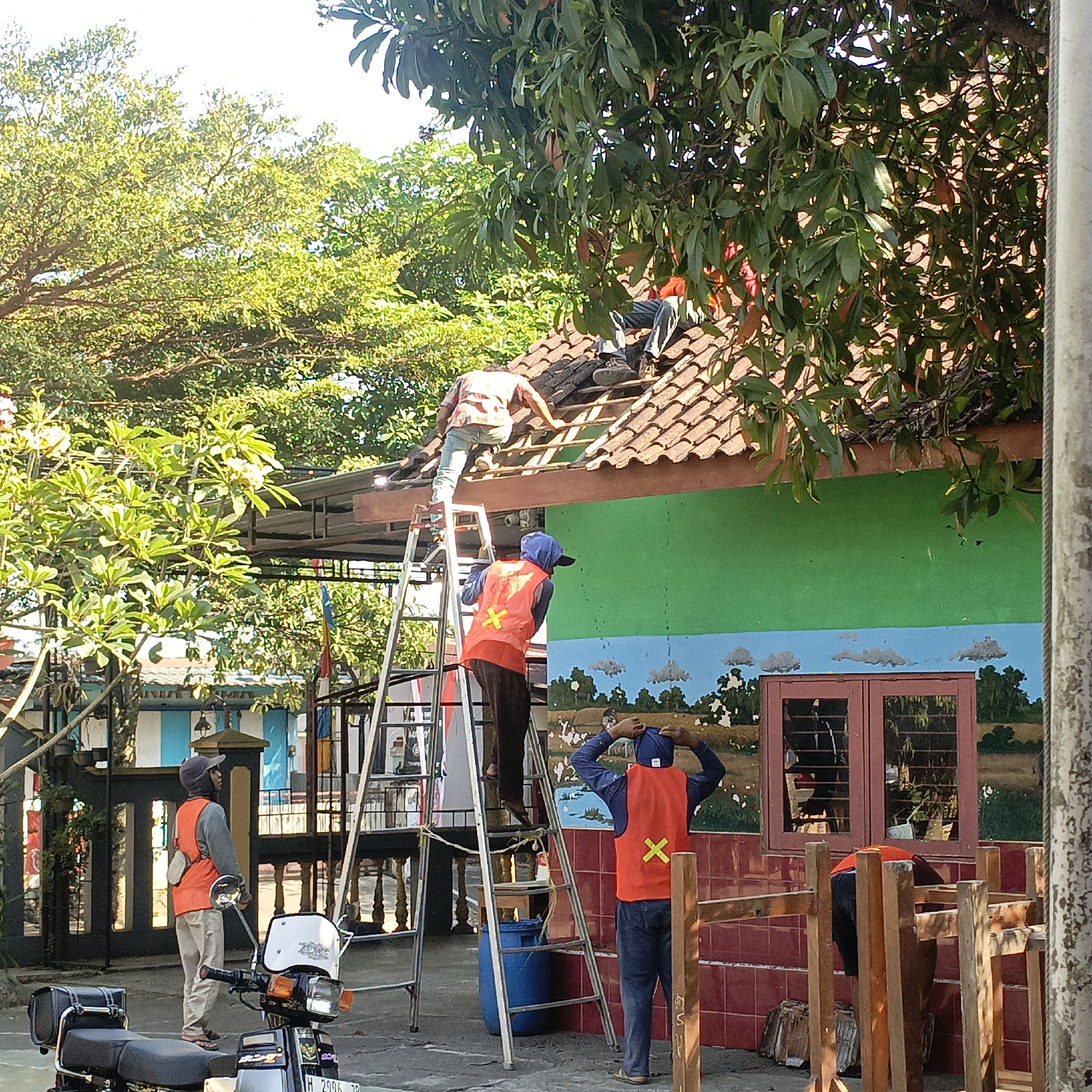 In Salatiga, Indonesia, a group of individuals are engaged in roofing work on a building with a green facade and a tiled roof. The scene captures a sunny day with ample daylight, suggesting it is daytime.
Several people are actively involved in the repair or construction of the roof. One individual, wearing an orange vest, is on a ladder, reaching towards the roof. Another person, also in an orange vest, is on the roof itself, working with roofing tiles. A third person is partially visible on the roof, seemingly also involved in the task. Further to the right, another individual in an orange vest is seen adjusting their blue headwear. In the foreground, to the left, another person in an orange vest stands near a motorcycle, appearing to be supervising or waiting.
The building's exterior features a vibrant green wall above a mural depicting a rural landscape with trees, clouds, and fields. Two red-framed windows are visible on this wall. The roof itself is made of traditional clay tiles.
The environment surrounding the building is verdant, with large trees featuring dense green foliage casting shadows. The ground appears to be paved, with a blue barrel and construction materials present. The overall impression is one of ongoing outdoor construction or maintenance work in a warm, possibly humid climate, characteristic of Indonesia.