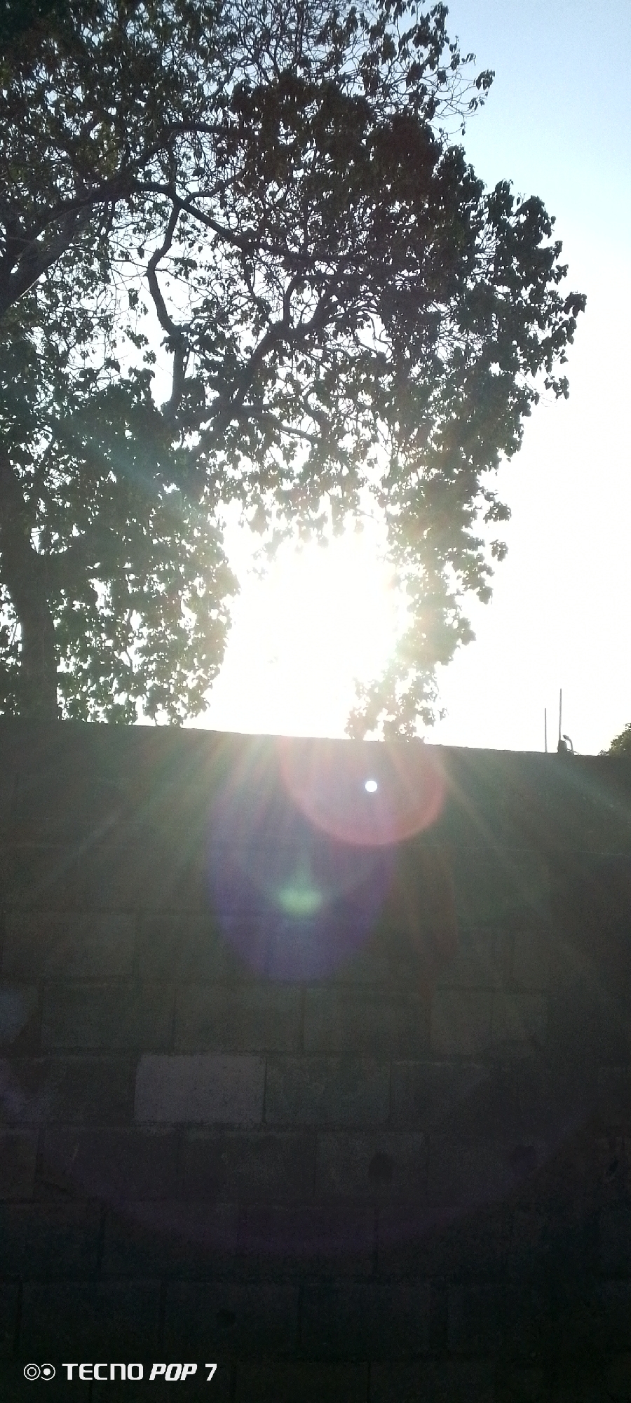 The image shows a tree silhouetted against a bright sky, with a brick wall in the foreground. The sun is shining through the branches of the tree, creating a lens flare effect. The location is Altagracia, Venezuela, based on the presence of a "Tecno Pop 7" watermark in the lower left corner. There are no people or other identifiable subjects in the frame. The primary object is the tree and the wall, the primary action is the sun shining.