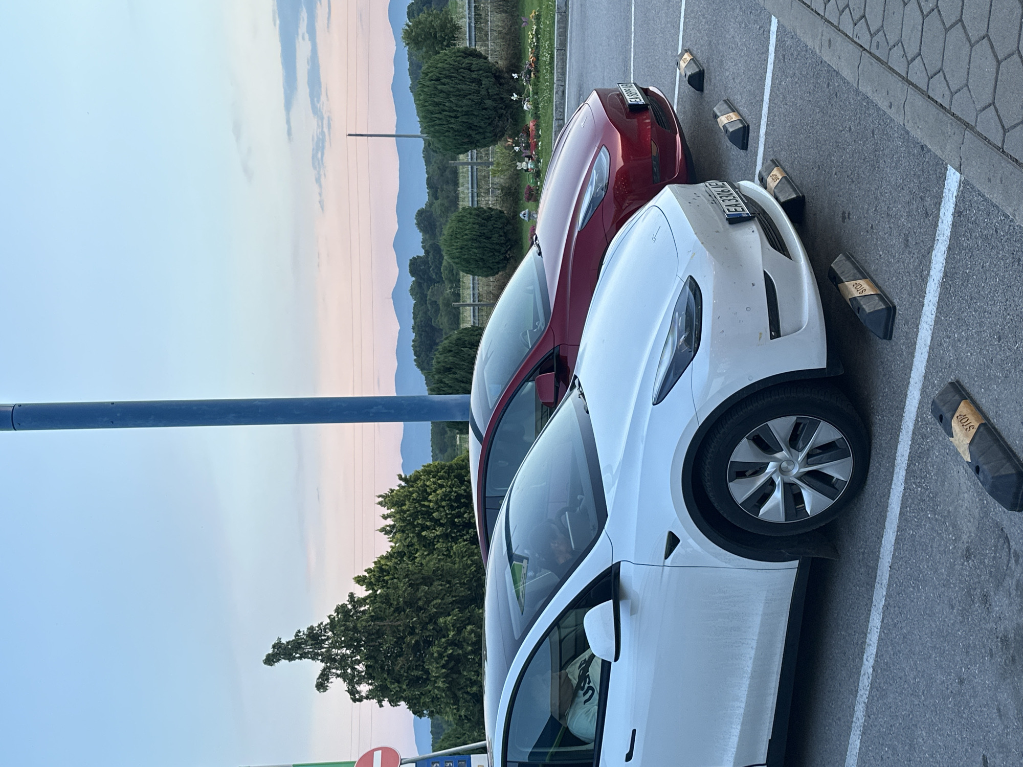The image displays two Tesla vehicles, one white and one red, parked in an outdoor asphalt parking lot in Momkovo, Bulgaria, as indicated by the "EA" prefix on the Bulgarian license plates. In the foreground, a white Tesla Model Y (license plate EA 3306 AE) is positioned, showing its front bumper, left front wheel with aero covers, and the driver's and front passenger's windows. Two occupants are visible inside: the driver, with dark hair and possibly a cap, is looking down at an obscured device, while the passenger wears a light-colored shirt with "USPA" printed on it. Behind the white Tesla, a red Tesla (license plate EA 8899 AB) is parked in an adjacent spot. Both vehicles are aligned with black rubber tire stops bearing "STOP" labels. The parking area features white painted lines on asphalt, with a concrete sidewalk composed of hexagonal pavers on the far right. The background consists of dense green trees and bushes, leading to a distant range of blue mountains under a sky transitioning from light blue to a pale pink horizon, indicative of dawn or dusk. A tall blue utility pole stands vertically in the mid-ground, with power lines stretching horizontally. A red circular "No Entry" sign is partially visible on the far left. Directly behind the red Tesla, a landscaped decorative area contains small ornamental bushes, flowers, and various figurines, including what appear to be gnomes, rabbits, and butterflies.