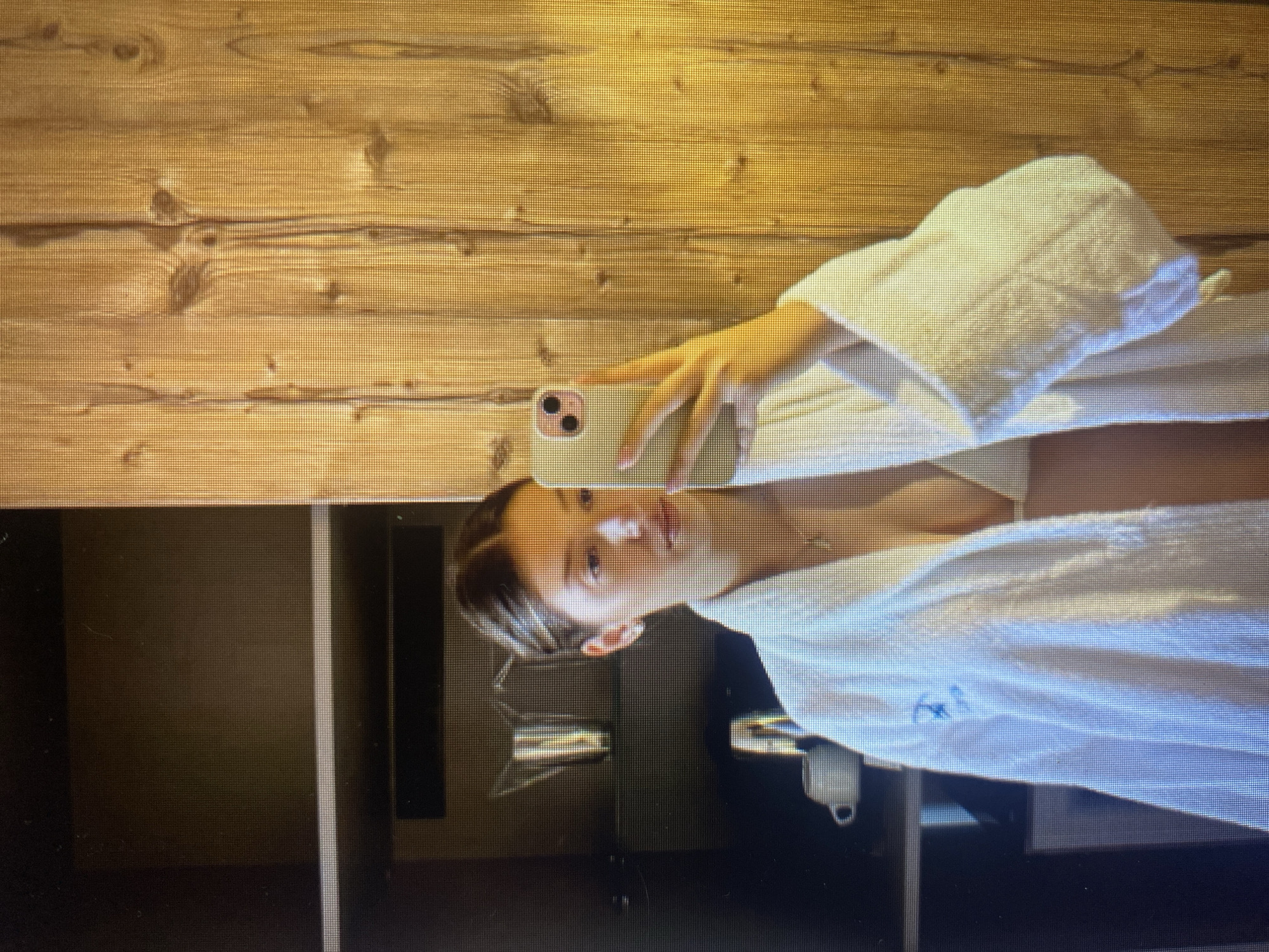A young woman, wearing a white bathrobe over a bikini top, takes a mirror selfie. She is standing in front of a wooden paneled wall, with shelves to her left containing a coffee cup and other items. She holds a mobile phone in her right hand. Her hair is pulled back.