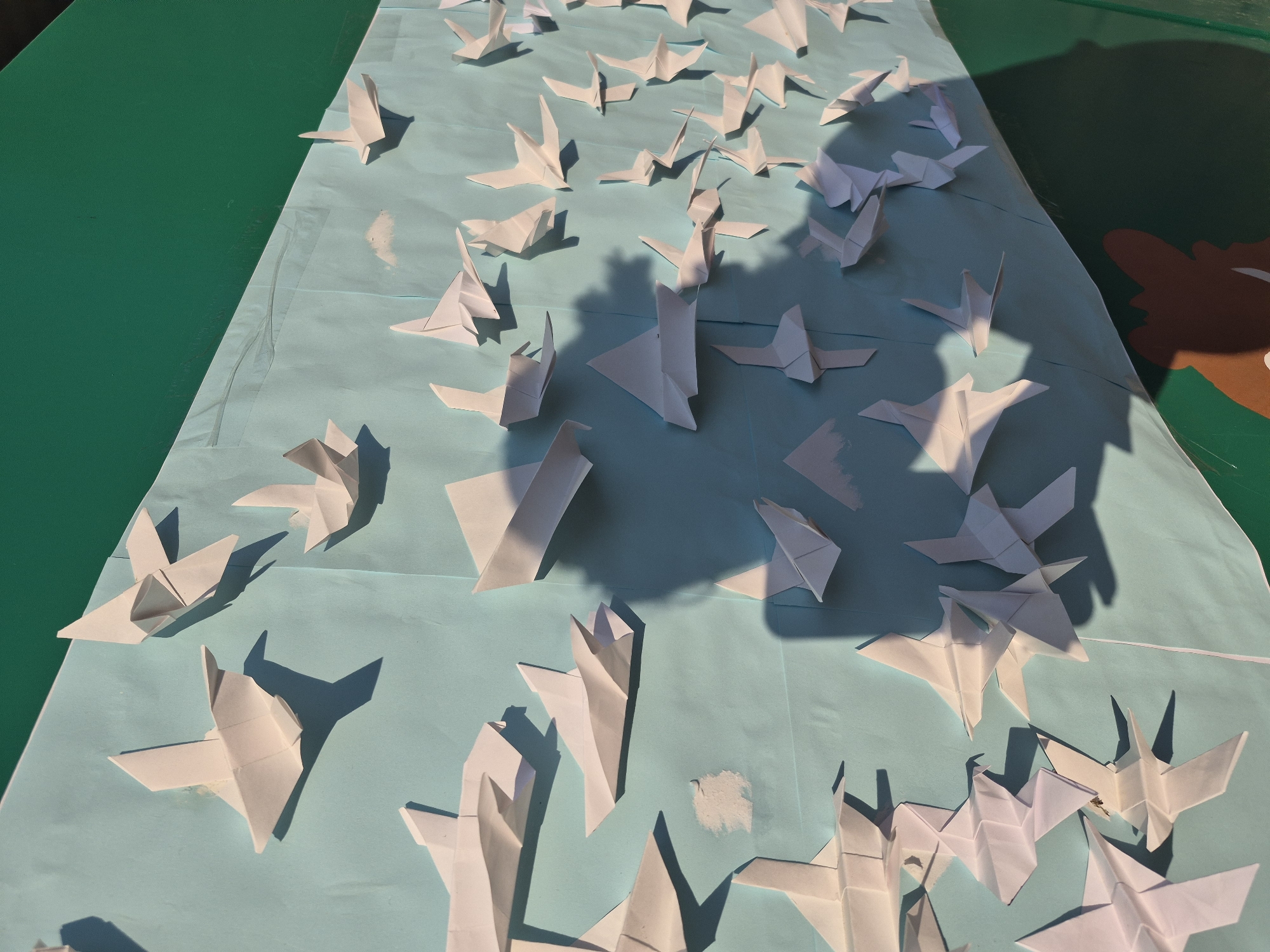 The image shows a collection of origami birds scattered across a light blue surface, possibly a sheet of paper or fabric. The surface is placed on top of a green surface. The origami birds are white and cast shadows that indicate a light source from the upper left. The scene is outdoors, as evidenced by the bright sunlight and the presence of natural shadows. Based on the presence of Tobolsk, Russia imagery in the original search query, the location is likely Tobolsk, Russia, although this cannot be definitively confirmed from the image alone.