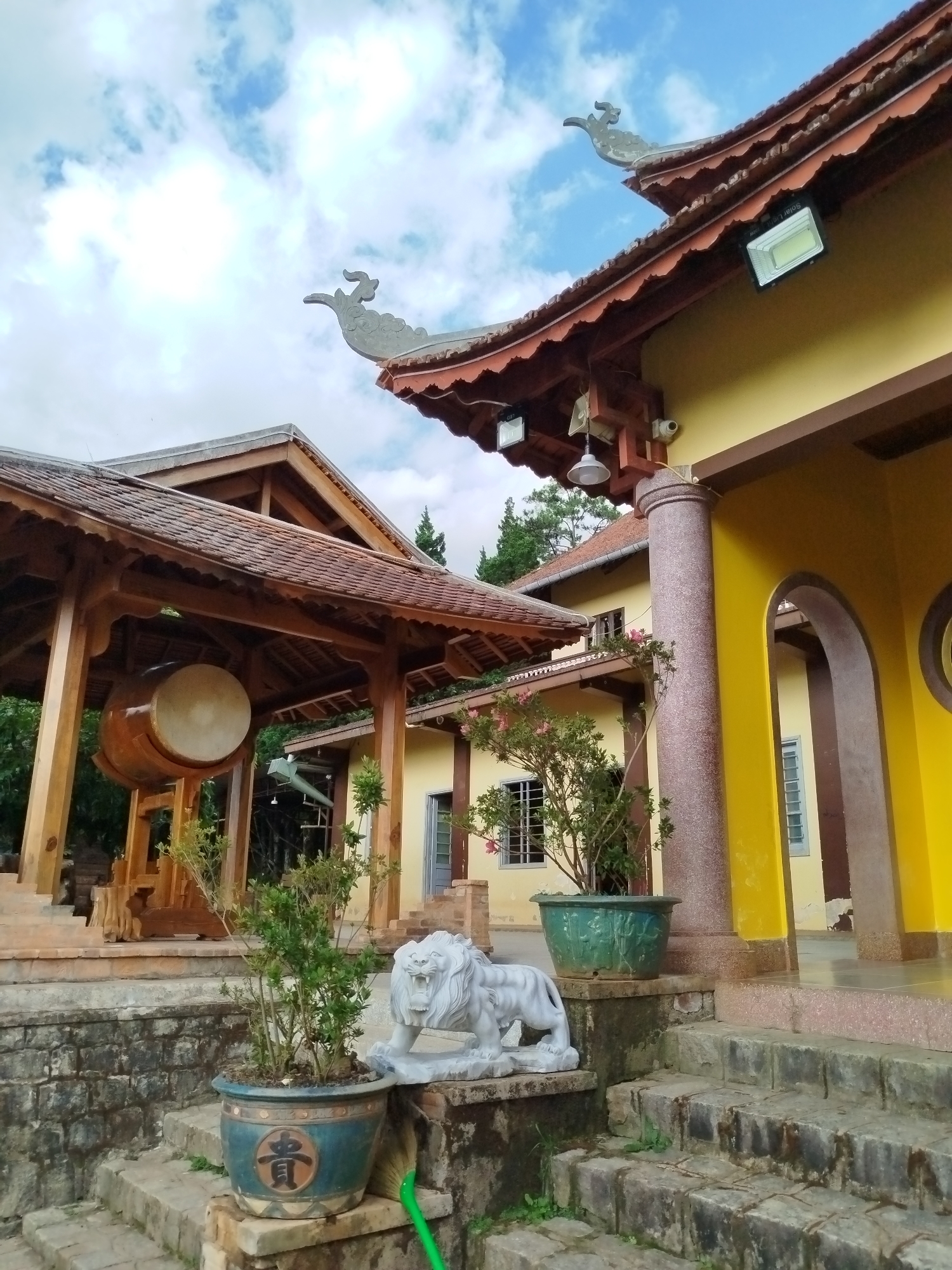 The image shows a Buddhist temple complex located in Da Lat, Vietnam. The buildings feature traditional East Asian architecture with yellow walls, brown tiled roofs, and ornate roof decorations. A large drum is housed in an open wooden structure to the left. In the foreground, stone steps lead up to the temple, with potted plants and a white lion statue flanking the stairs. The sky above is partly cloudy.