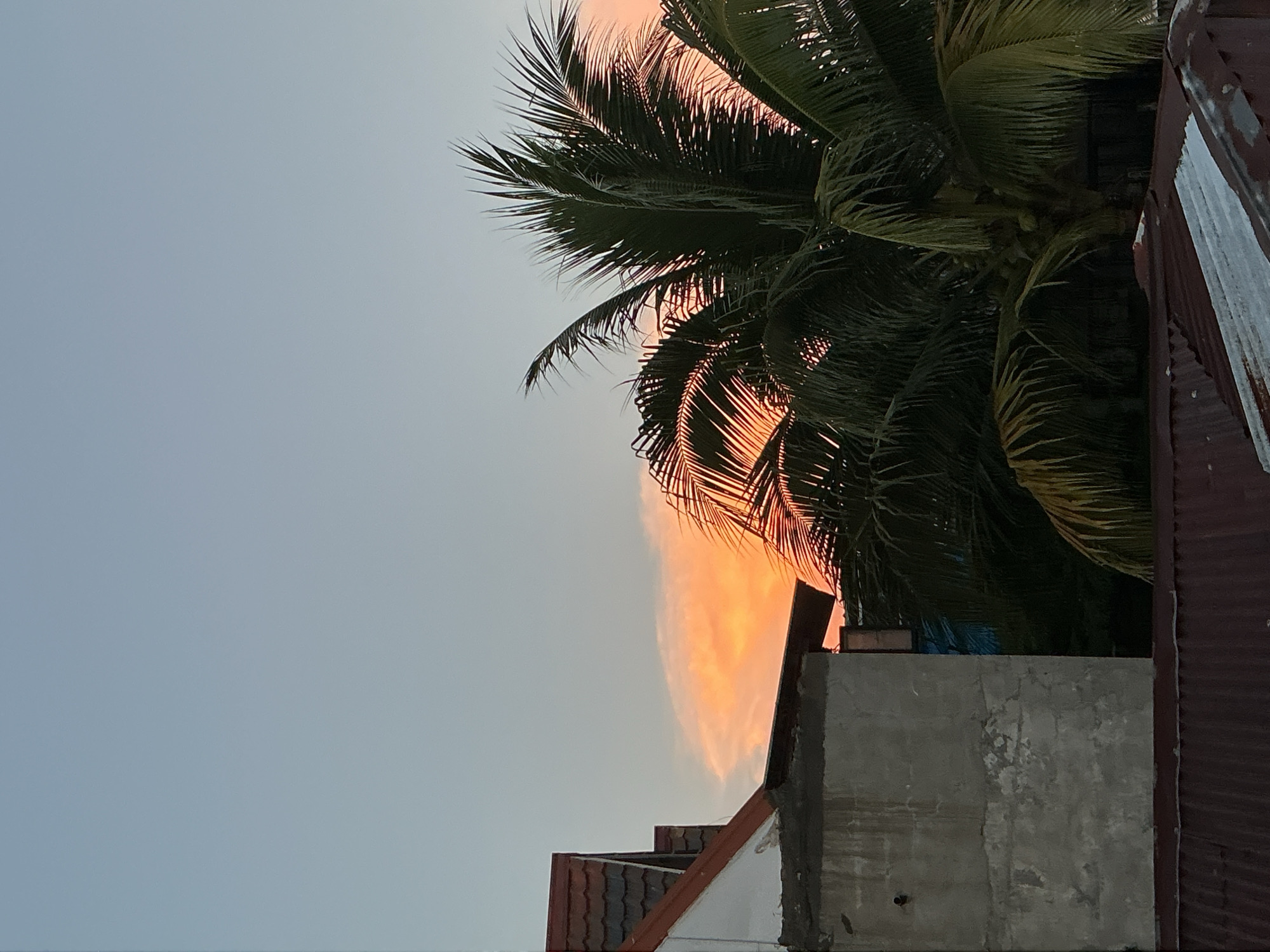 A late afternoon sky in Davao City, Philippines, is painted with soft hues of orange and pink from the setting sun, visible through the fronds of a lush coconut tree. The foreground is occupied by the rooftops of residential buildings, one with a reddish-brown corrugated metal roof. To the left, a white building with a tiled roof and a concrete structure are partially visible. The scene captures a tranquil moment as daylight fades over the urban landscape.