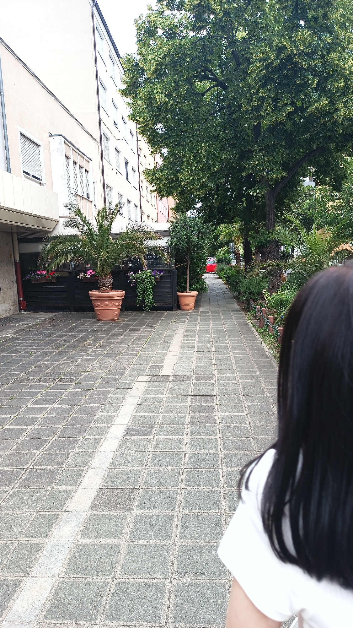 The image shows a paved walkway lined with potted plants and trees. On the left, a building with an off-white facade and closed shutters stands adjacent to the walkway. Several potted plants, including a large palm tree in a terracotta pot, are placed in front of a dark wooden fence. Further down the walkway, more trees and shrubs create a verdant environment. In the distance, a red vehicle is visible.
The perspective is from behind a person with long, dark hair, who is wearing a white t-shirt. The walkway is paved with square grey tiles, with a white stripe running down its center. The scene appears to be set outdoors, possibly in a courtyard or a street with pedestrian access. The lighting suggests it is daytime, with overcast or dappled sunlight, creating a somewhat diffused illumination. The overall impression is one of a tranquil, possibly urban, outdoor space with a touch of greenery. No specific activity or event is clearly depicted, other than someone walking or standing in the area. There is no visible text in the image. The location context of Nuremberg, Germany, suggests this is an outdoor area within the city.