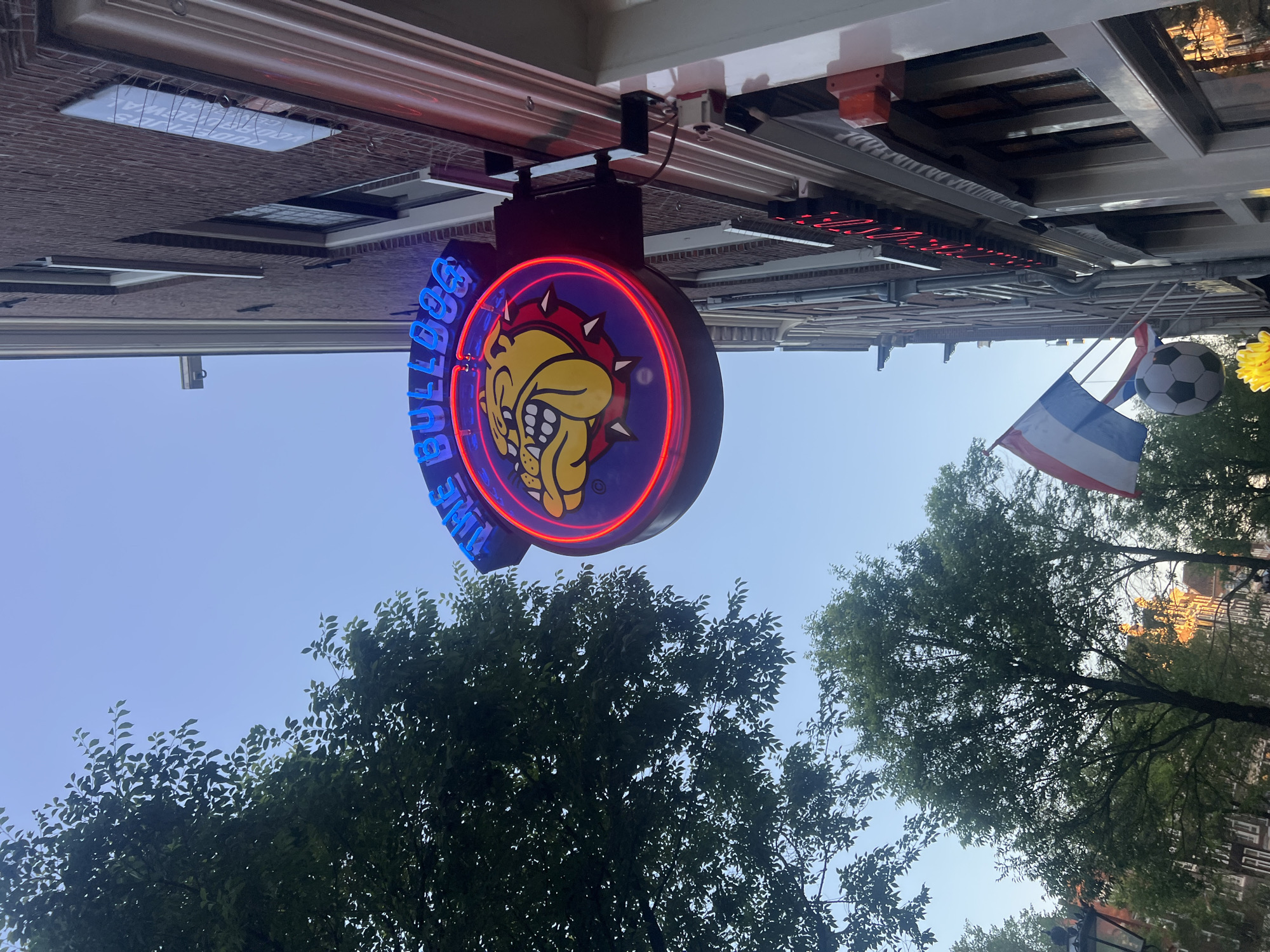 A low-angle, full shot shows a neon sign for "The Bulldog" establishment hanging from a brick building in Amsterdam, Netherlands. The sign features a depiction of a bulldog's head within a red neon circle, with blue neon lettering spelling out "THE BULLDOG". The building itself is constructed of red brick with white trim around the windows. In the foreground, to the left, is a tree with green leaves. To the right, a Dutch flag and a soccer ball are visible, suggesting a festive atmosphere. The sky above is a clear, light blue. The overall scene is a street view of a commercial establishment in the city.