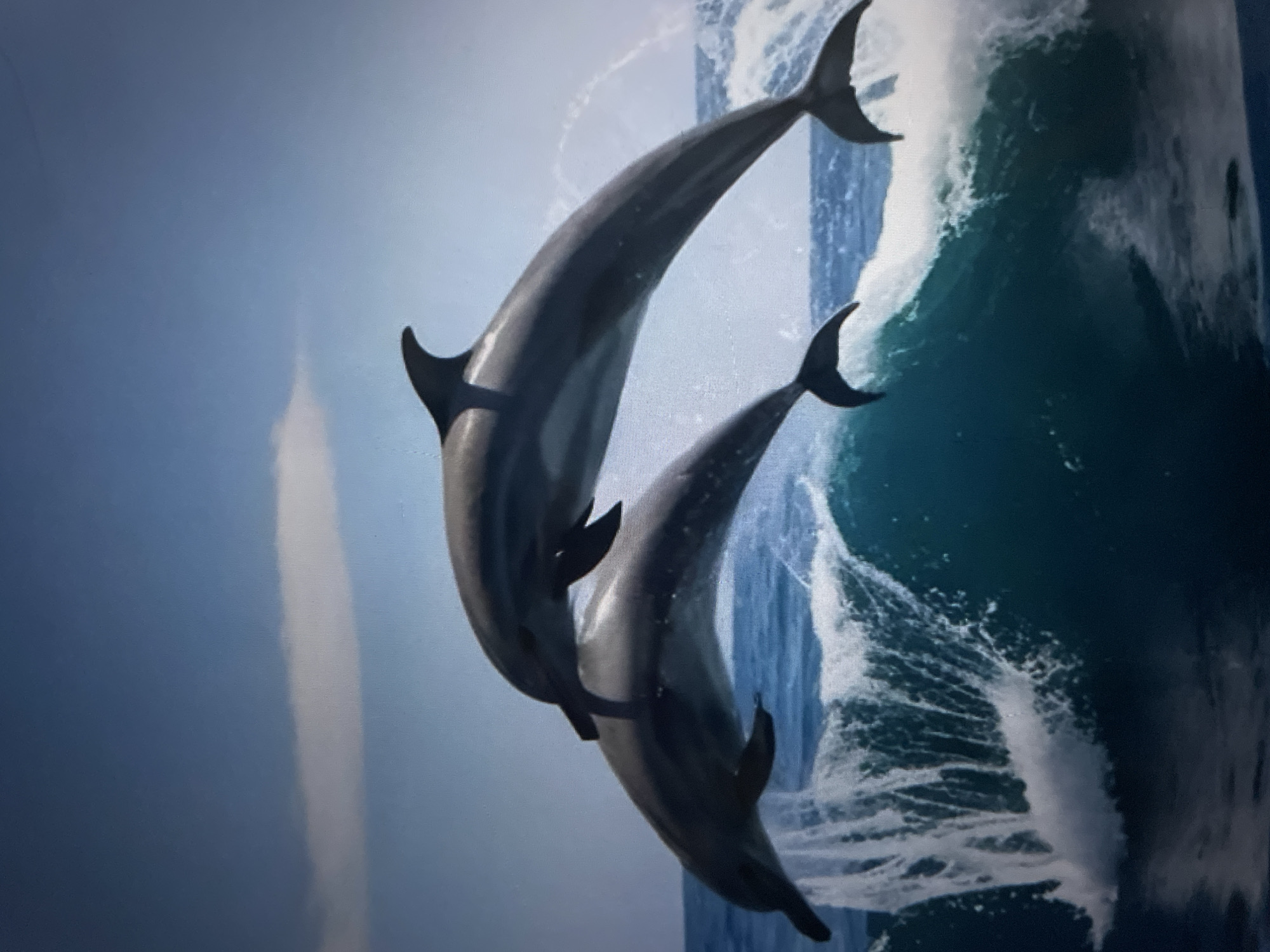 Two dolphins are leaping out of a wave in a bright, daytime scene. The water is a deep blue-green, and the wave is cresting, sending white spray into the air. The sky is a clear, pale blue. The dolphins appear to be moving in unison, one slightly behind the other, as they arch gracefully through the air. Their sleek, dark bodies contrast with the lighter water and sky. The image conveys a sense of motion, freedom, and the power of nature. There is no visible text in the image.