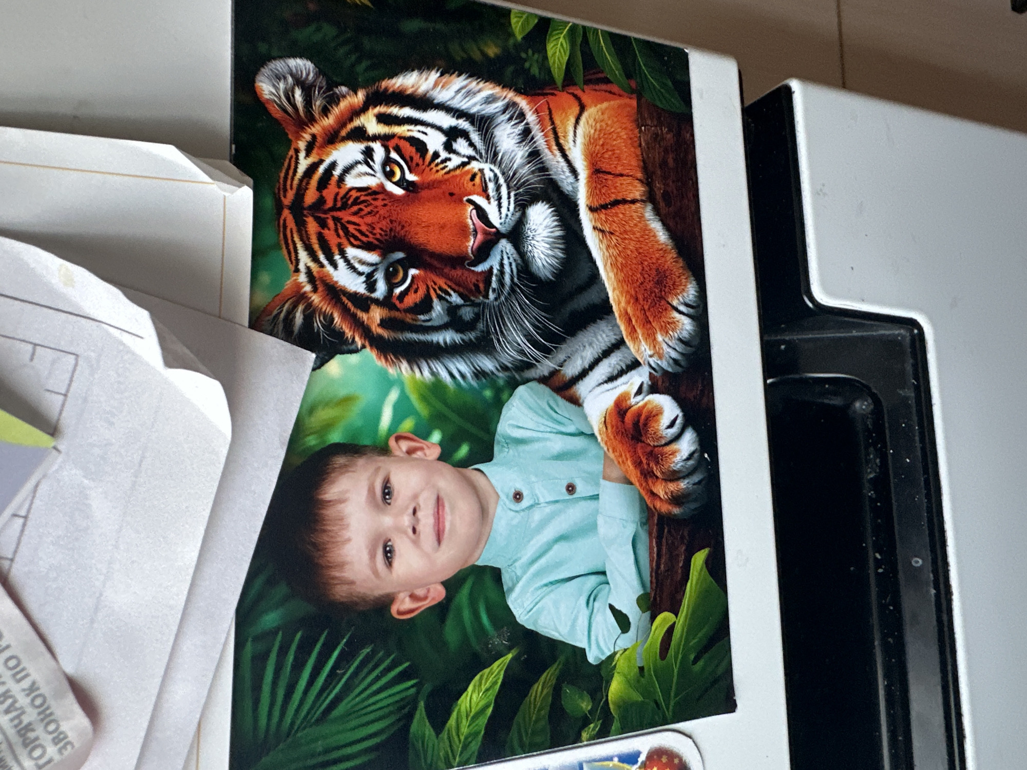 The image shows a refrigerator with a magnet featuring a young boy next to a tiger. The boy is wearing a light blue shirt and has short brown hair. He is looking at the camera with a slight smile. The tiger is depicted with vibrant orange and black stripes, and its paw is resting on a wooden surface. The background of the magnet appears to be a jungle scene with lush green foliage. Above the magnet, there are some papers or documents attached to the refrigerator. The refrigerator itself is white, and the image is cropped to show the top portion of it, including a black handle or drawer. This image was taken in Novoaltaysk, Russia.