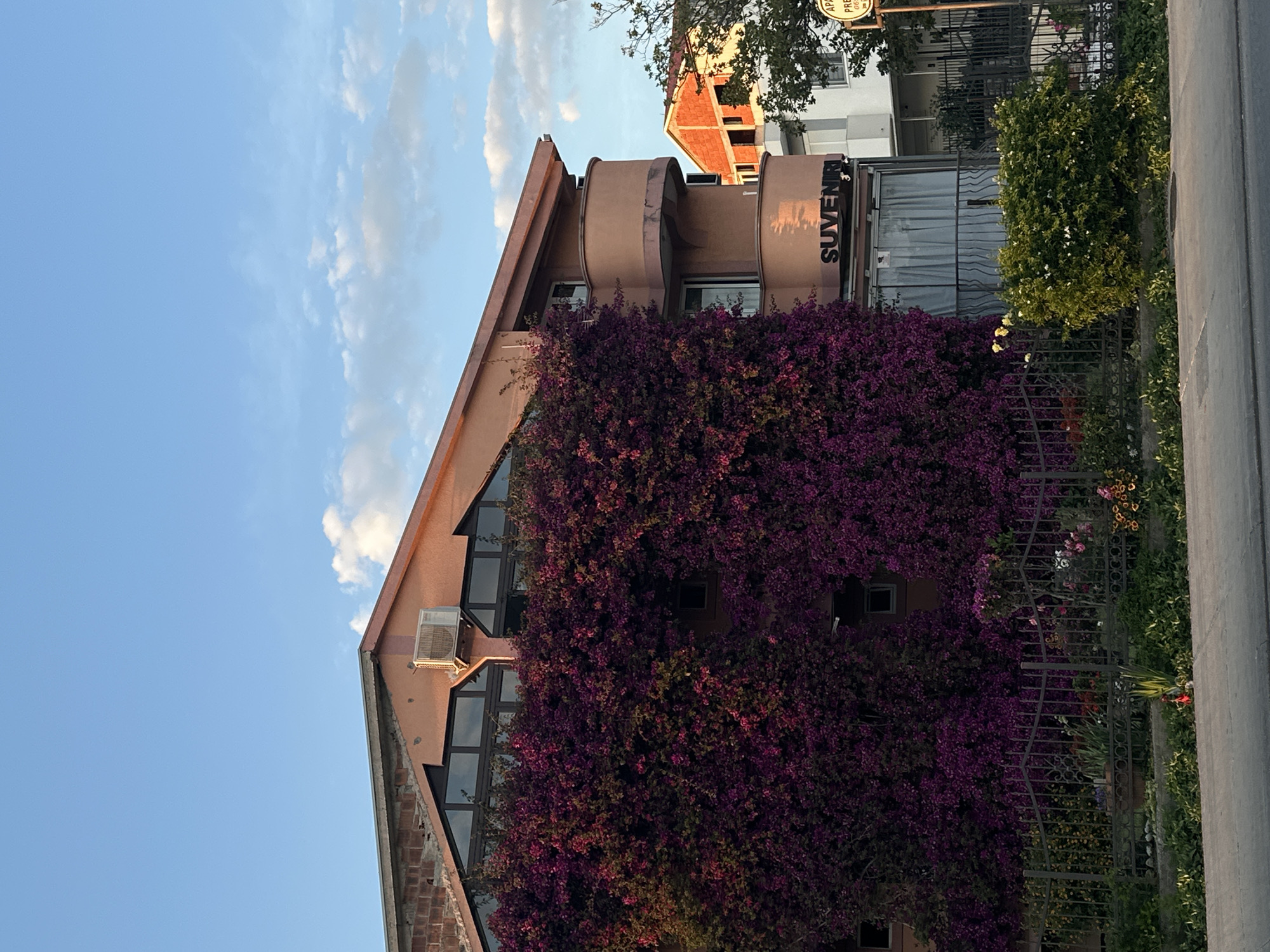 A building in Šušanj, Montenegro, is heavily covered in purple bougainvillea. The word "SUVENIRI" is visible on the upper part of the building. An air conditioning unit is attached to the building's exterior. A fence runs along the front of the property with various plants and flowers growing on the other side. The sky is blue with scattered clouds. Part of a street is visible in the foreground. Another building and street sign are also visible further back.