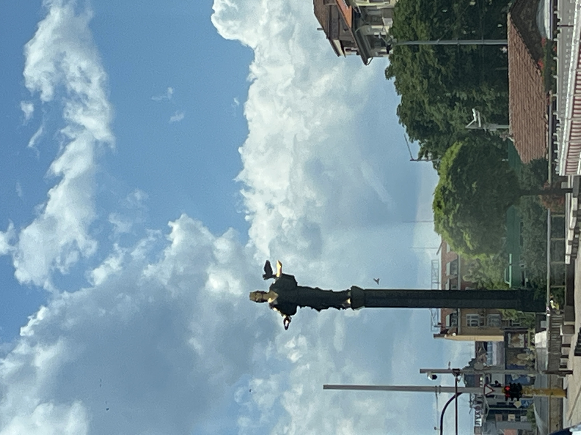 The image shows a street scene with a tall, dark statue on a pole in the foreground. The statue appears to be a person with their arms raised. The background is a mix of blue sky with dramatic white clouds, buildings, and trees. The buildings are varied in architecture, suggesting an urban or semi-urban environment. Some have reddish-brown tile roofs. Lush green trees are visible, some appearing quite large and mature.
There are signs of human activity: a traffic light is visible, and what appears to be a camera mounted on a pole. The scene is likely outdoors during daylight, as indicated by the bright sky and shadows. The weather seems pleasant, with a mix of sun and clouds. The overall impression is that of a city street on a clear day, possibly in a European country given the architectural styles. There is no discernible text in the image that provides specific location clues or branding. The image is captured from a slightly low angle, looking up towards the statue and the sky.