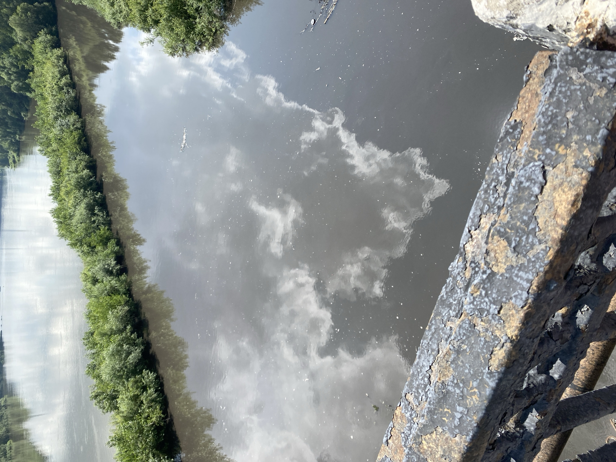 This image shows a view of a murky, brown river with reflections of white clouds. The riverbanks are lined with dense green trees. In the foreground, there is a rusty metal railing with peeling paint. The image appears to be taken from a bridge or elevated walkway. There are no people visible in the image. This scene is consistent with a view of the Tom River in Novokuznetsk, Russia, particularly in an industrial or developed area where water quality may be compromised.