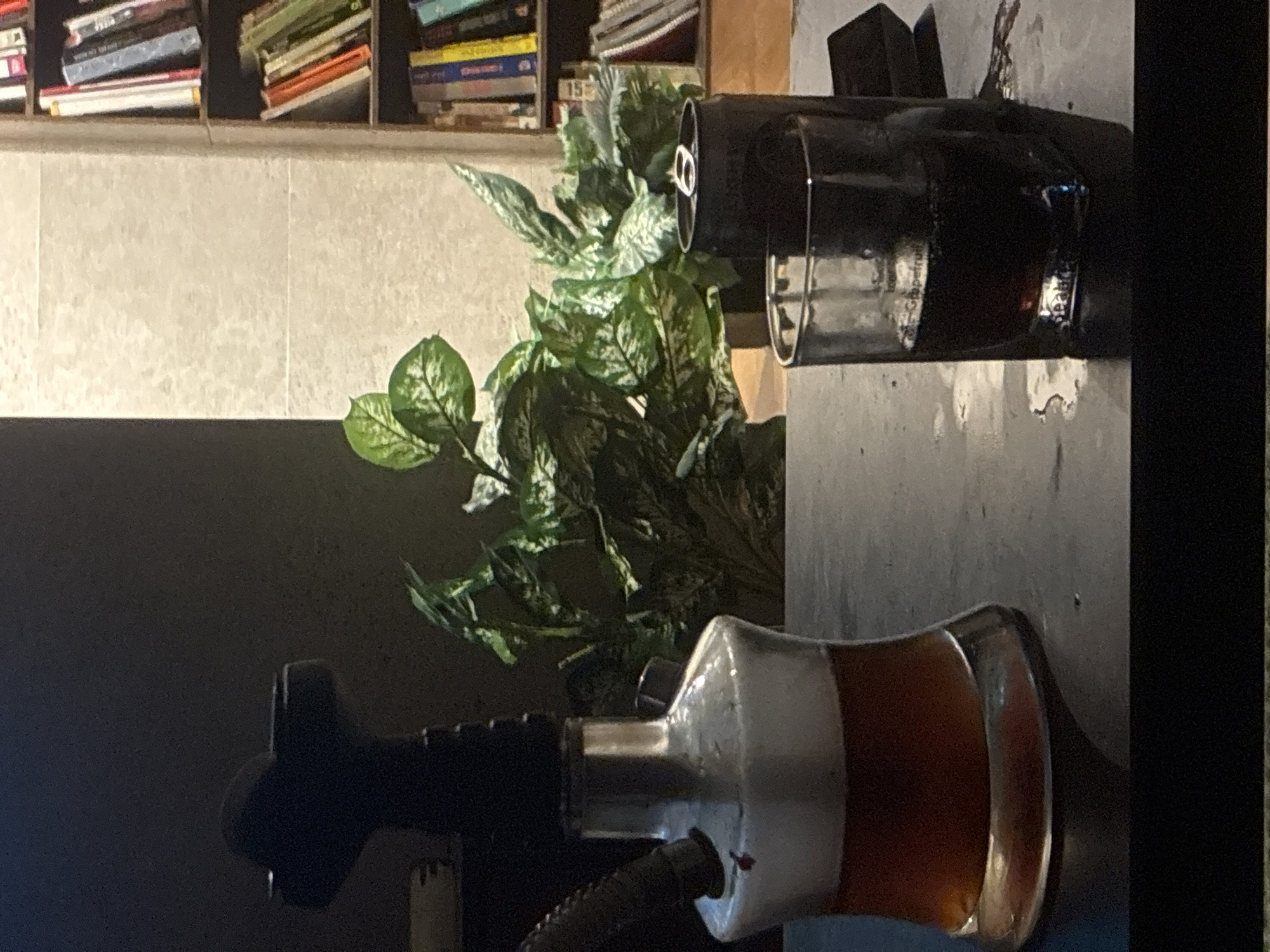 A hookah sits on a dark surface in the foreground, its glass base filled with amber liquid. To its right, a dark can and a glass containing a dark liquid are also present. In the background, a lush green plant with variegated leaves stands against a textured wall. A bookshelf filled with books is visible on the right side of the image. The lighting is dim, with a spotlight illuminating the plant and the bookshelf. The scene appears to be set in a dimly lit indoor space, possibly a lounge or a cafe.