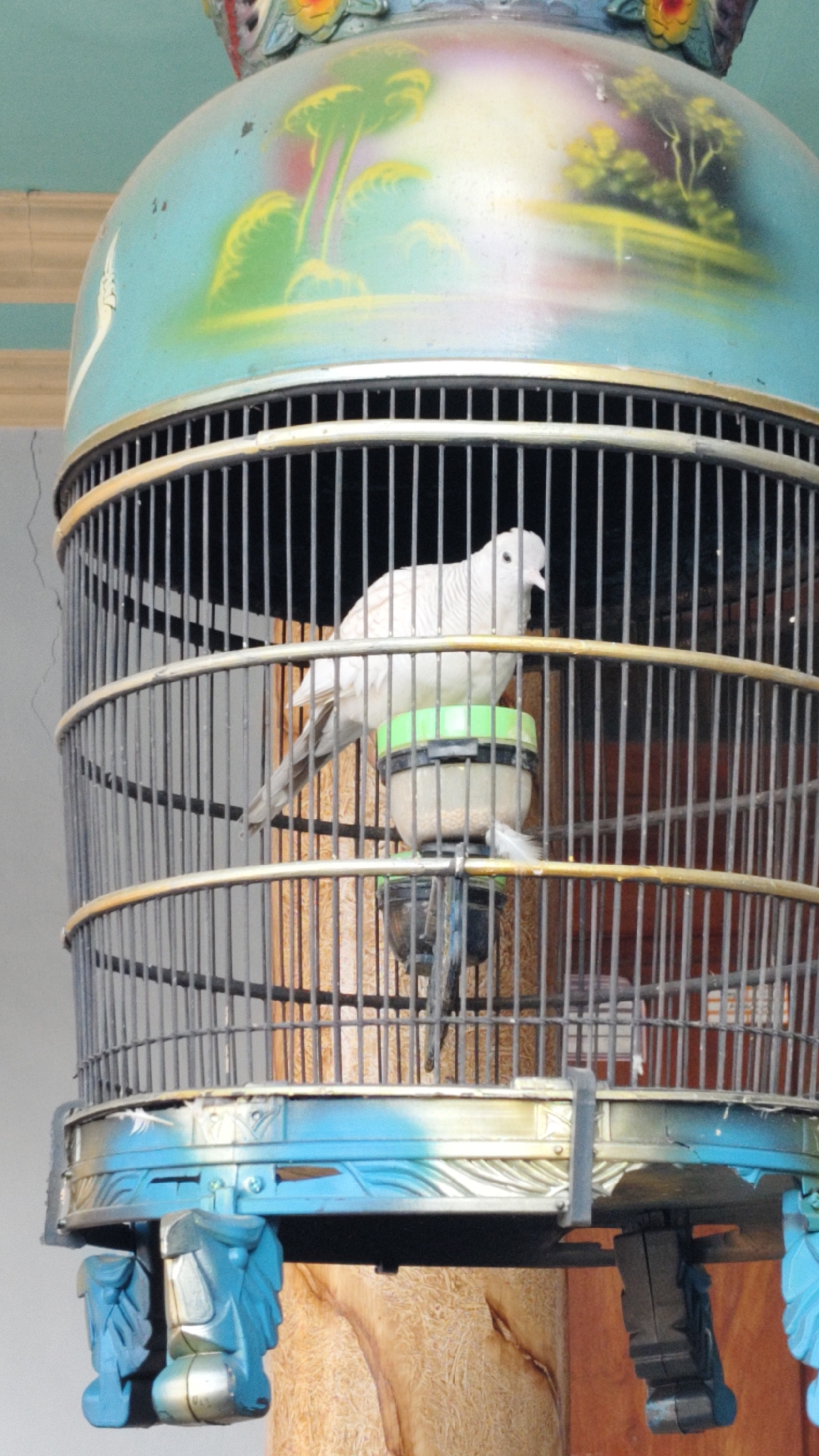 A white dove is inside a decorative birdcage, perched on a green feeder filled with birdseed. The cage has a rounded top painted with a light blue base color and green and yellow abstract designs resembling trees and foliage. The cage itself is constructed of thin black metal bars, with gold trim around the top and bottom edges. The bottom of the cage is decorated with blue and gold accents and features two carved blue feet resembling lion heads. The background appears to be an indoor setting with neutral-colored walls and wooden elements. The image captures the dove in a side profile, with its head slightly turned towards the right.