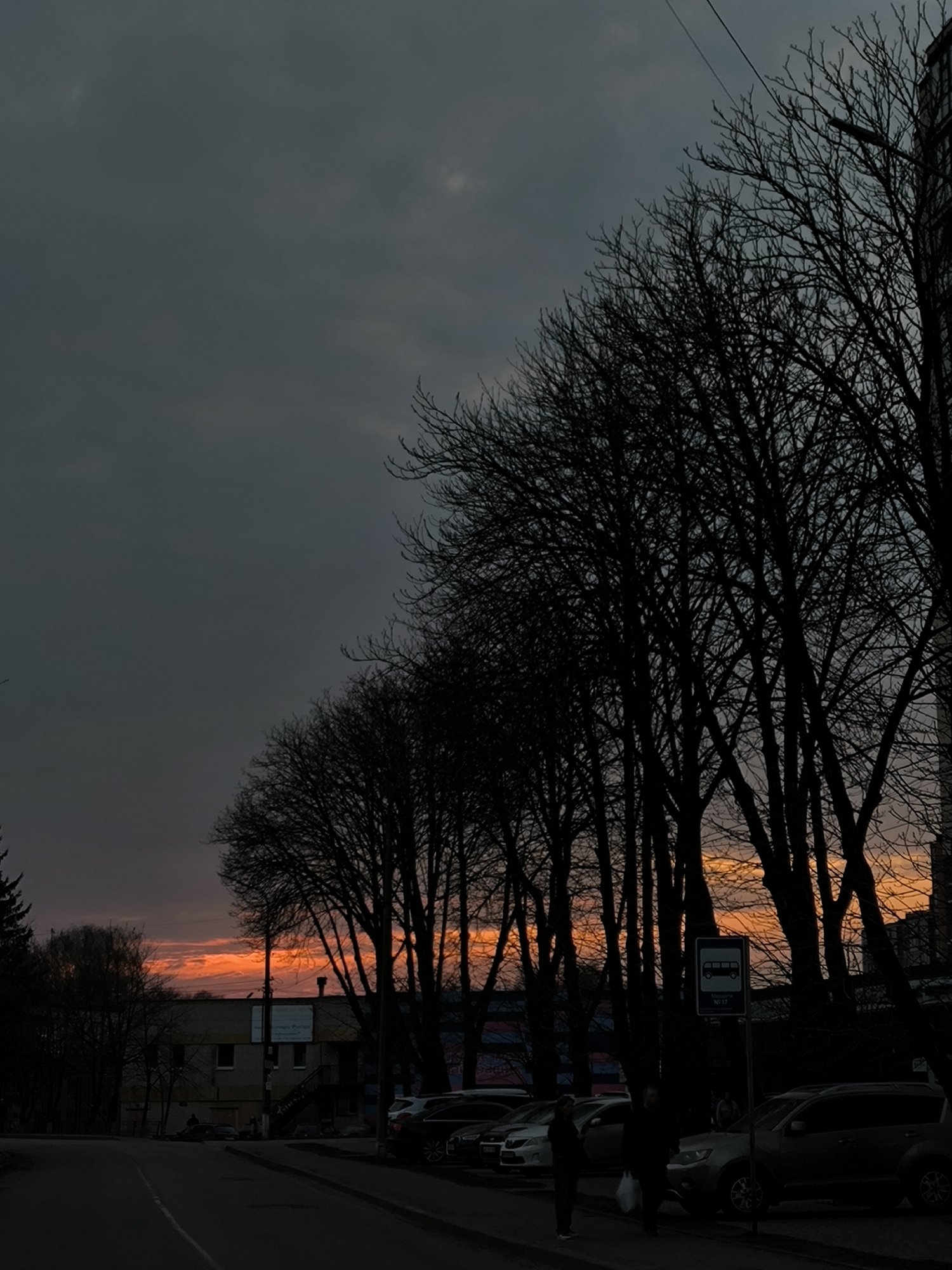 The image captures a street scene in Vinnytsia, Ukraine, at dusk. The sky is overcast with dark grey clouds, punctuated by a vivid orange sunset visible behind the silhouettes of bare trees lining the street. On the right side of the frame are parked cars and a bus stop sign. Two people are standing near the bus stop. A building can be seen further down the street. The road is dark and stretches into the distance.