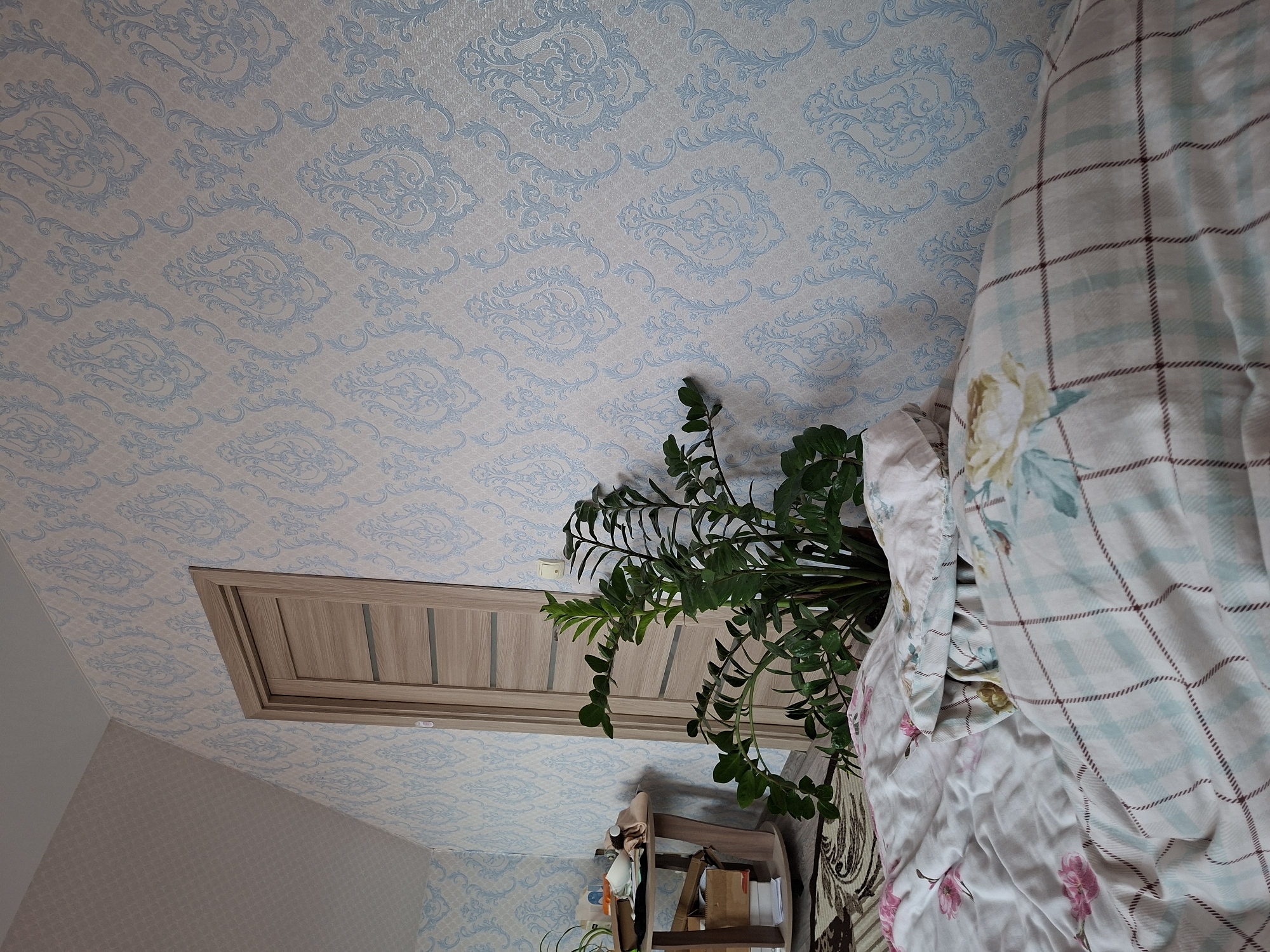 This image, possibly taken in a residential setting in Chaikovsky, Russia, shows an interior with a focus on the ceiling and its immediate surroundings. The ceiling and an adjacent wall are covered in patterned wallpaper. A small, rectangular attic access door is present on the ceiling. A lush green plant stands near the door, partially obscuring it. A section of a bed covered with a patterned blanket is visible, taking up a significant portion of the right side of the frame. The overall composition is angled. A small side table or shelving unit is visible beneath the plant.