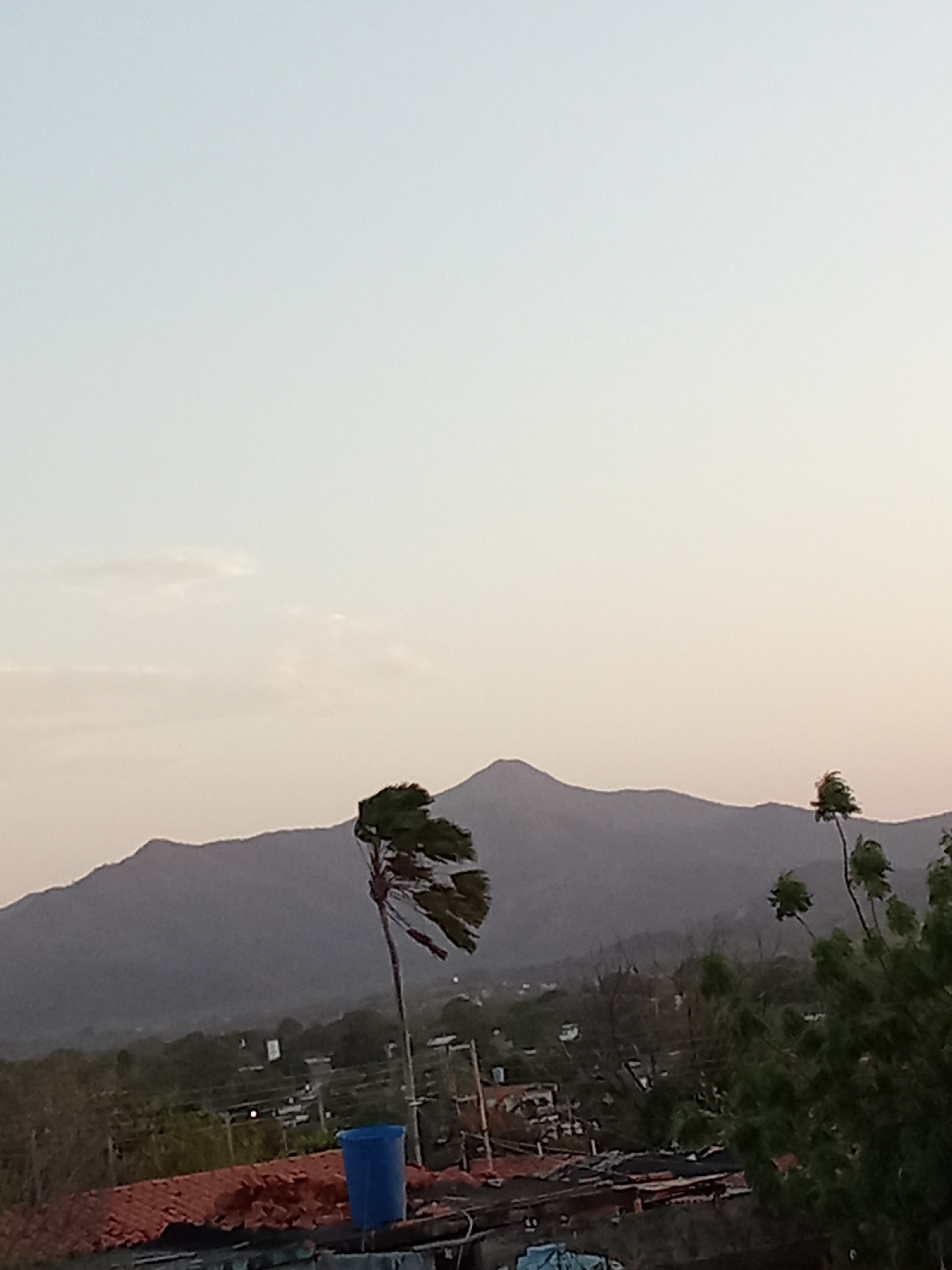 The image depicts a landscape scene in Juan Griego, Venezuela, at what appears to be dusk. In the foreground, rooftops are visible, some covered with terracotta tiles. A blue plastic container sits on one of the roofs. Several trees, possibly palm trees, sway in what appears to be a strong wind. Beyond the rooftops and trees, a mountainous range is silhouetted against the sky. The sky is a gradient of light blues and pinks, suggesting either sunrise or sunset. The overall environment suggests a location in a residential area situated near or on the edge of a mountainous region. There are no visible people or interactions.