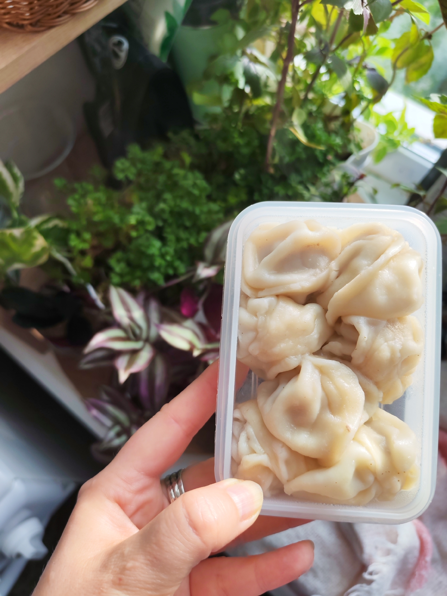 A person's hand, wearing two silver rings on their index finger, holds a clear plastic container filled with several steamed dumplings. The dumplings are light in color and appear to be a dish like manti or khinkali. In the background, several potted plants are visible, with green leaves and some purple and white variegation. The scene is likely indoors, near a window where the plants are situated. There is no information available to determine the specific location within Izhevsk, Russia, or any broader environmental context beyond the immediate indoor setting.