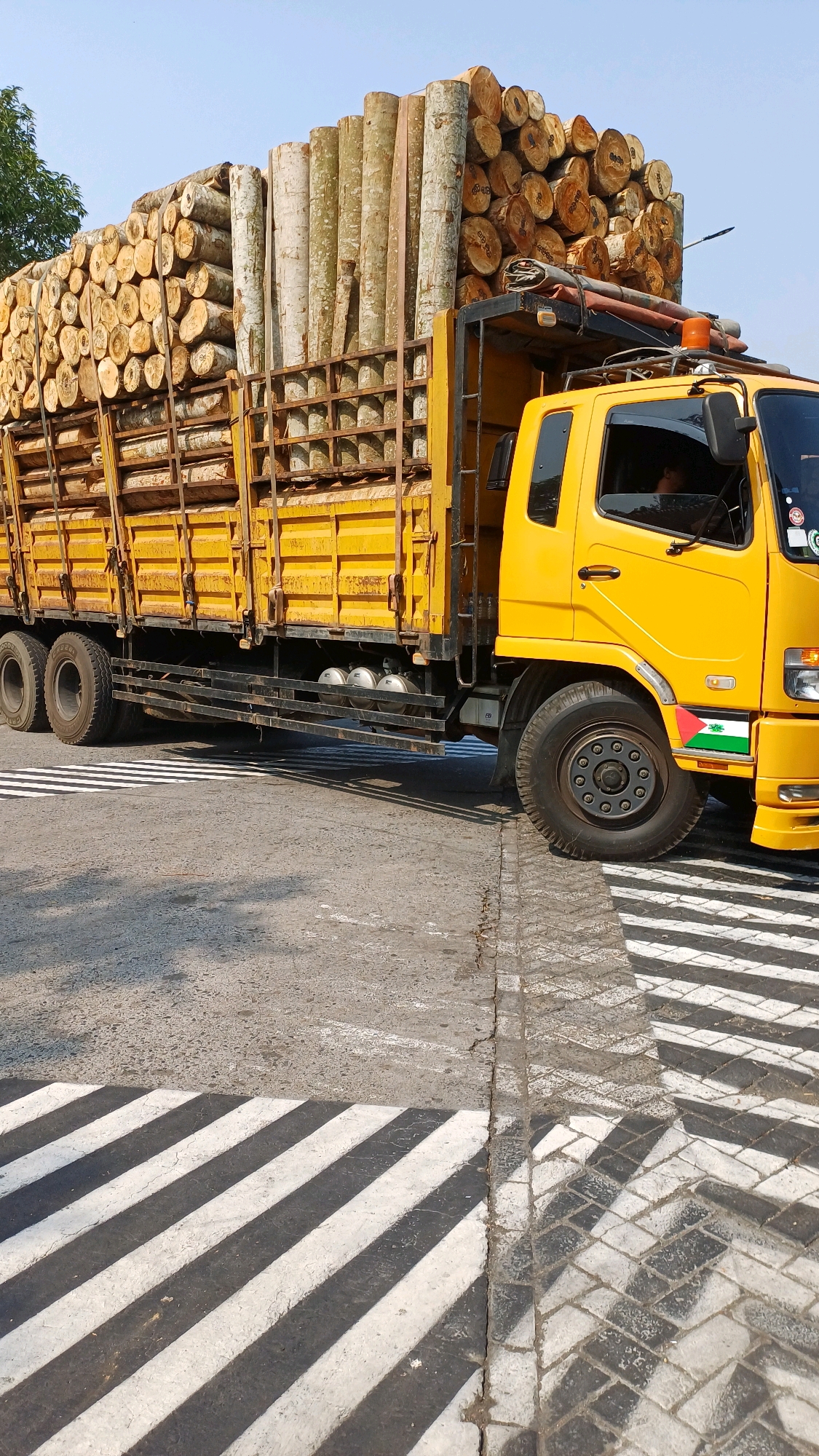 A bright yellow flatbed truck, loaded with a large quantity of logs, is stopped at a crosswalk on a paved road in Kranggan, Indonesia. The truck's bed is filled with logs of varying sizes and colors, predominantly light brown and gray, with some darker bark still visible. The logs are stacked horizontally in neat rows, with longer, straighter logs forming the top layer. The truck has a metal cage-like structure around the sides of the bed. The cab of the truck is also yellow, with black accents and a side mirror. A small sticker with the Palestinian flag is visible on the front fender of the truck. The crosswalk is marked with diagonal black and white stripes. The road surface appears to be a mix of asphalt and cobblestone. The sky is clear and blue, suggesting a sunny day. No people are clearly visible in the image, though a silhouette can be seen through the truck's window. The scene appears to be a normal daytime operation, possibly in an industrial or logging area within Kranggan.