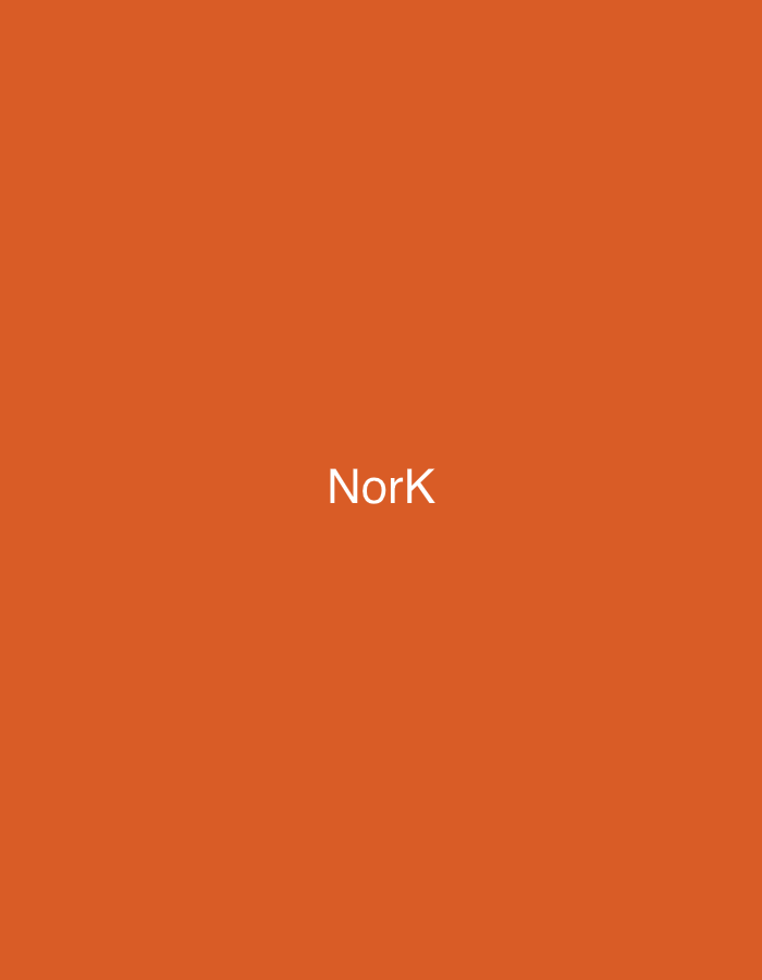The image displays a flat, solid orange background. Centered horizontally and vertically on this background is the word "NorK" rendered in white, sans-serif capital and lowercase letters. No other subjects, objects, or environmental details are present. The image provides no visual information to indicate a specific location in the city of Casablanca, Morocco, or any other geographical context.