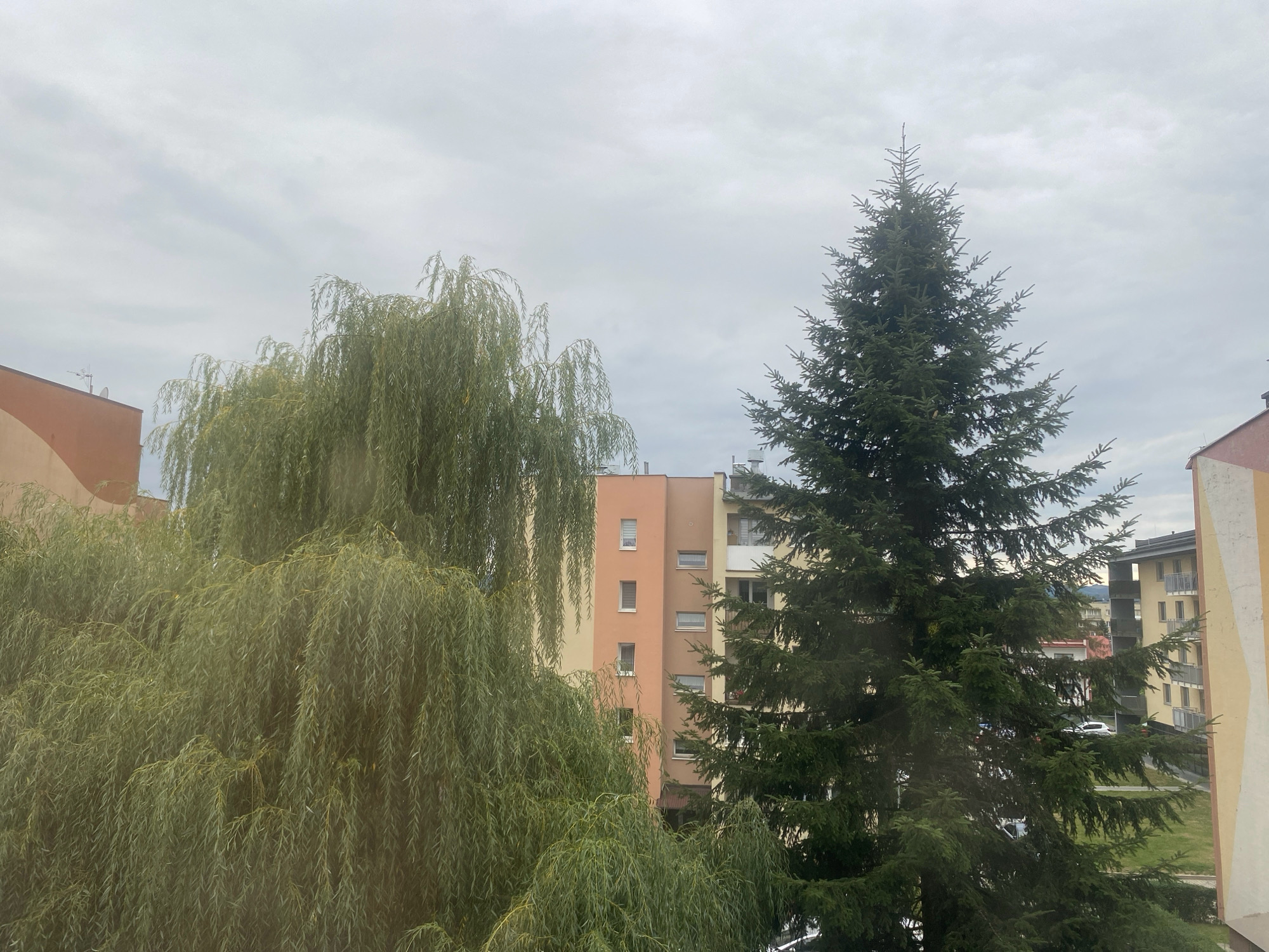 The image depicts a view from a window, looking out at an urban landscape dominated by trees and buildings. On the left, a large weeping willow tree with its characteristic drooping branches obscures a portion of the scene. To the right of the willow, a tall, dense evergreen tree, likely a spruce or fir, stands prominently. Behind the trees, several multi-story apartment buildings are visible. One building in the center is painted in shades of peach and cream, featuring multiple windows. To its right, another building with yellow and cream colored facades has balconies and windows. The sky above is overcast and gray. The location is identified as Nowy Sącz, Poland. There are no people visible in the image. The scene is static, with no discernible actions or interactions taking place. The environment appears to be a residential area, with a mix of vegetation and built structures.