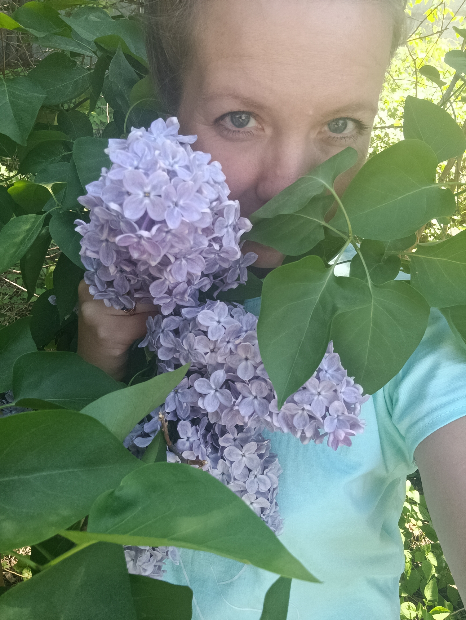 A fair-skinned person is partially obscured by a lilac bush, holding a cluster of purple lilac flowers. The person's eyes and upper face are visible. The person wears a light blue t-shirt and a ring on their left hand. Large green leaves surround the flowers and the person's face. The setting appears to be outdoors in a natural environment with some dappled sunlight. There is no specific information in the image to confirm that the image was taken in the city of Chaikovsky, Russia.