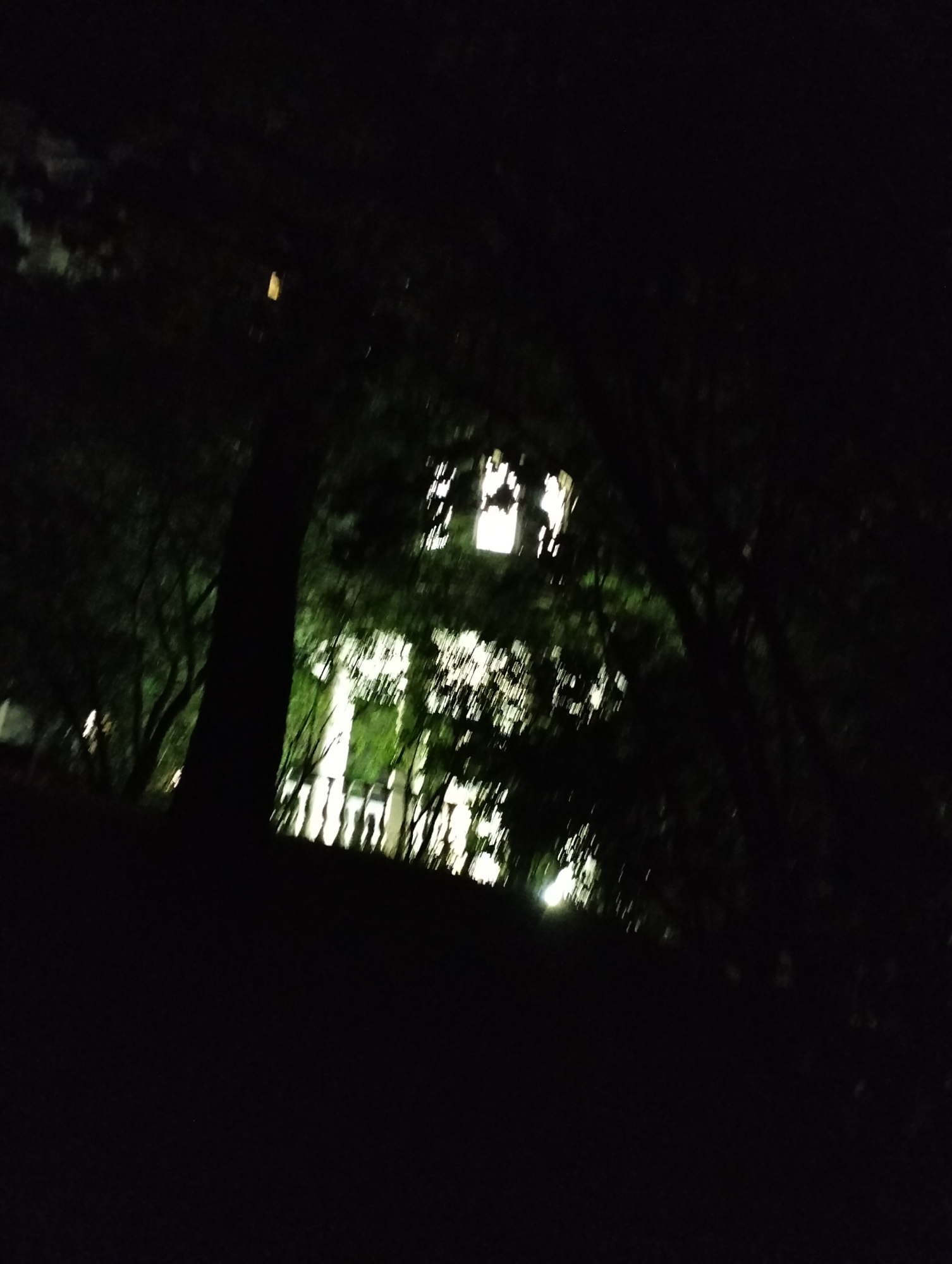 The image depicts a dark, nighttime scene with a building partially obscured by trees and vegetation. The building is illuminated by interior lights visible through the windows, while other parts of the building appear dark. A white fence is seen along the front of the property. The foreground is predominantly dark, likely representing foliage or other elements closer to the vantage point. The image appears to have been taken in Krykhivtsi, Ukraine.
