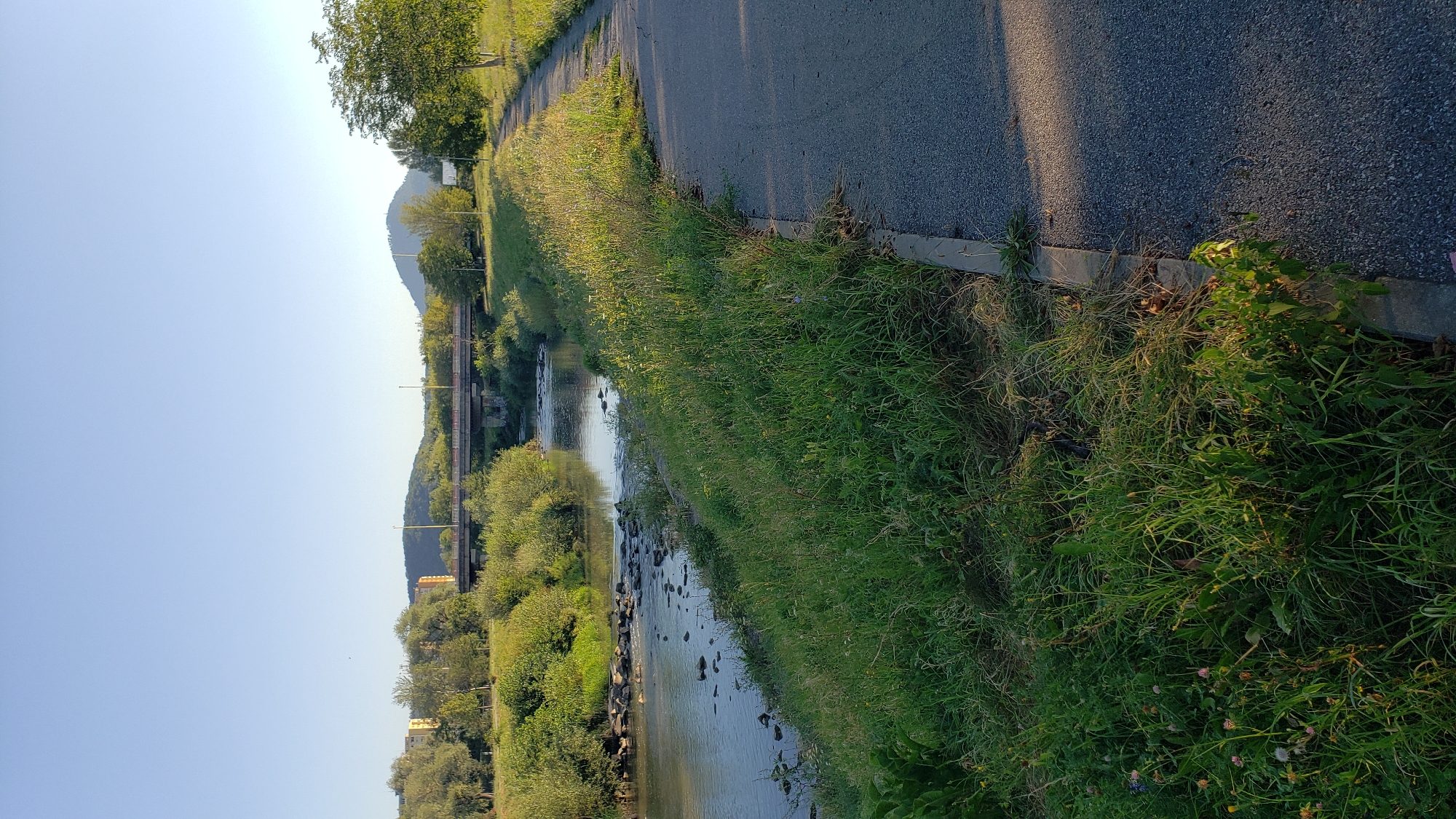 The image depicts a view of the Torysa River in Prešov, Slovakia, on a clear, sunny day. On the right side of the image, a paved pathway runs alongside the river, bordered by lush green grass and vegetation. The pathway appears to be a pedestrian or cycling path. The river itself is calm, with shallow water flowing over rocks, and its banks are lined with dense greenery. In the background, a concrete bridge spans the river, with trees and buildings visible on the far bank. The sky is a clear, bright blue, indicating good weather conditions. The overall scene is serene and natural, with hints of urban development in the distance.