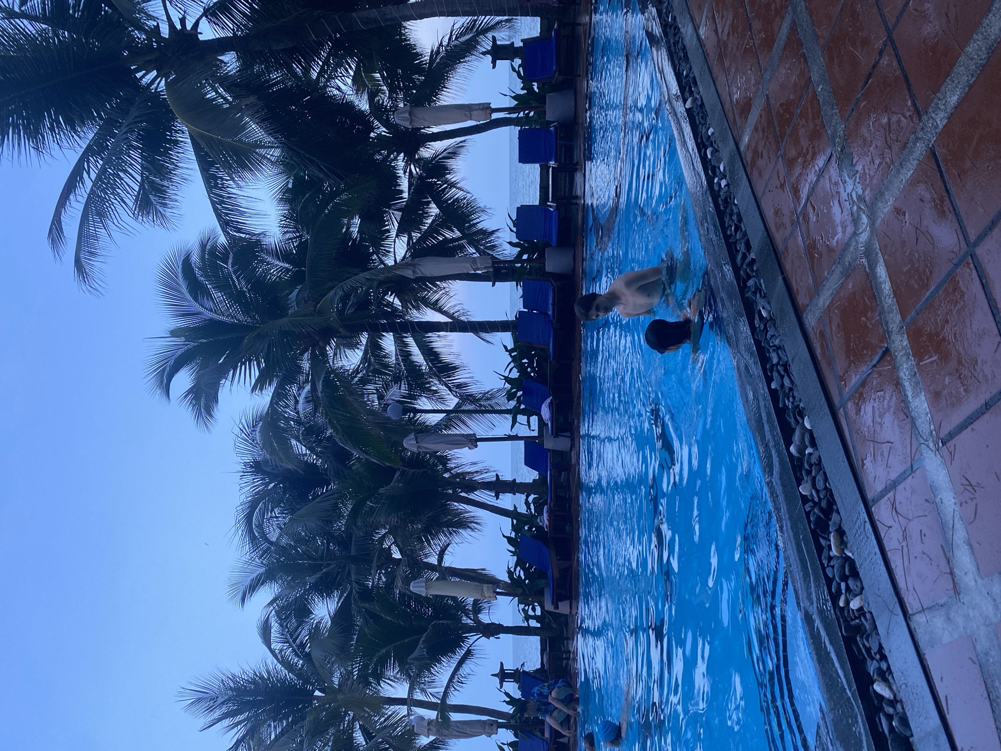 In the outdoor swimming pool of Phu Thuy Ward, Vietnam, two individuals are immersed in the clear blue water. The pool is bordered by dark grey stones and a reddish-brown tiled walkway. Palm trees with lush green fronds line the background, silhouetted against a hazy blue sky and the ocean. Several blue lounge chairs and closed umbrellas are visible behind the pool. The image captures a serene, twilight atmosphere.