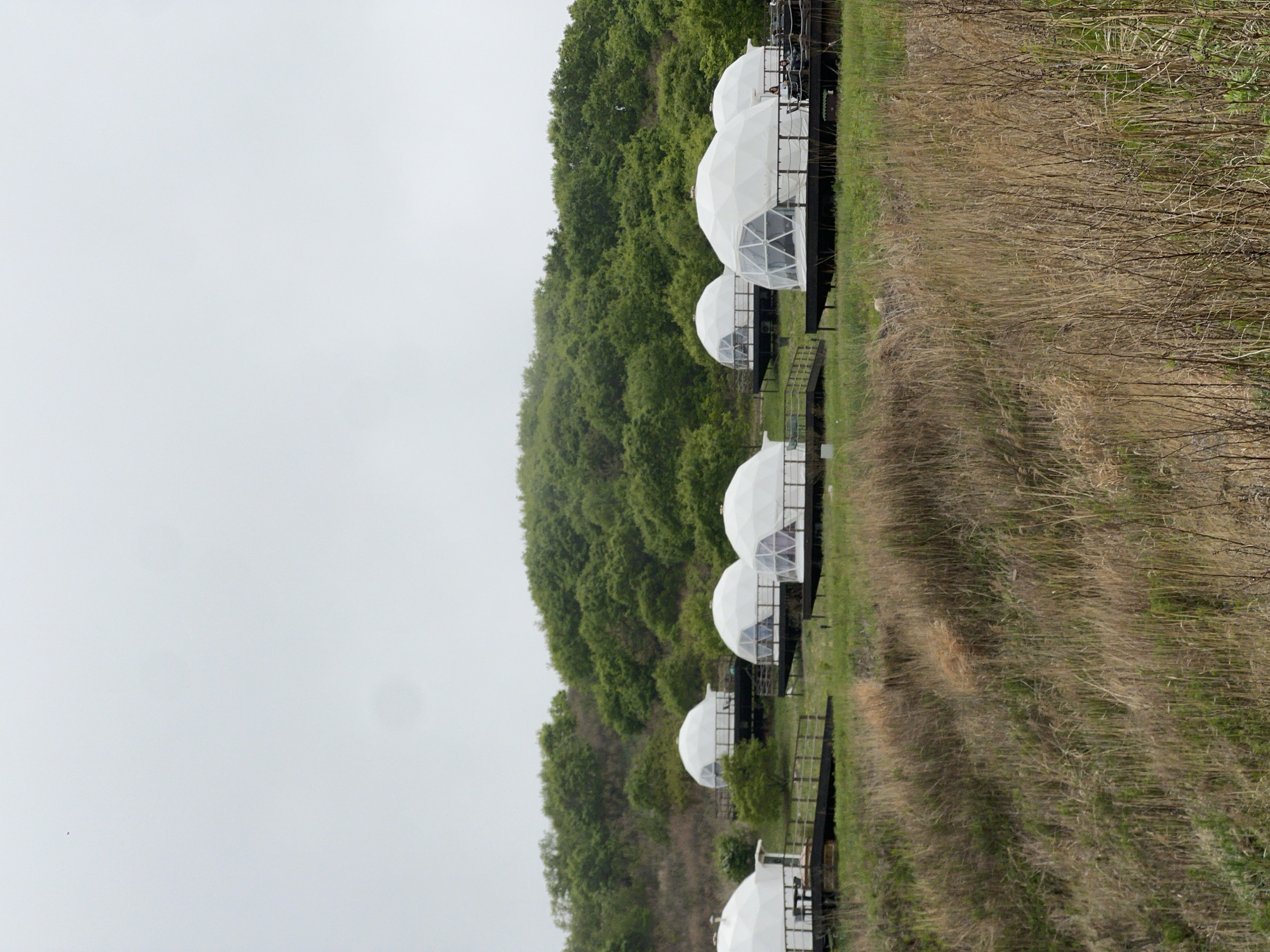 The image shows a series of dome-shaped structures situated on a grassy area next to a forested slope. The structures appear to be made of white material with framed window sections. They are elevated on platforms with what appear to be metal railings or walkways connecting them. The sky is overcast and appears gray. The location is Zarubino, Russia.